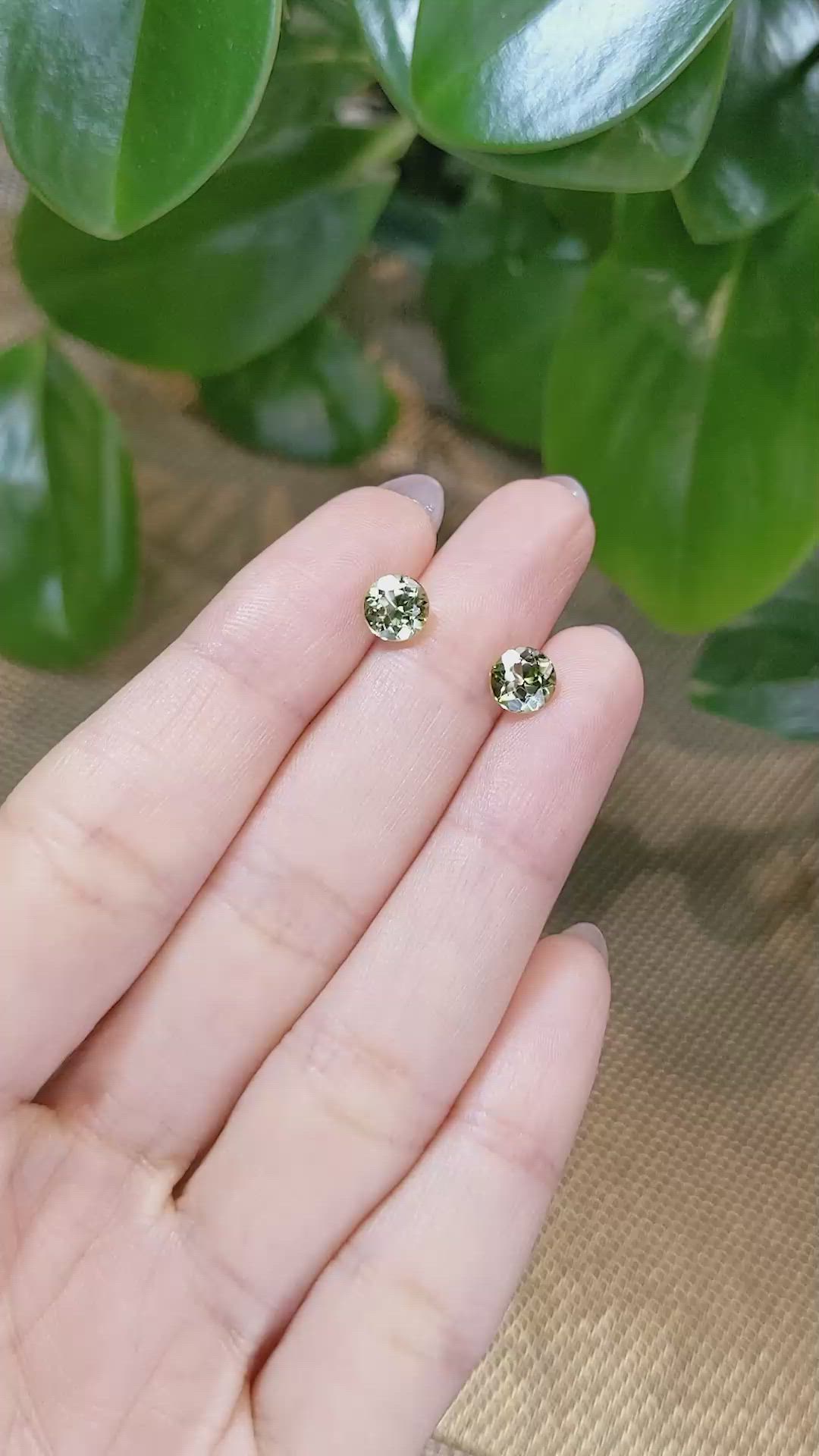 1.74&nbsp;Ct.Tw.Total Carat Weight Tourmaline Pair from Brazil Size Video