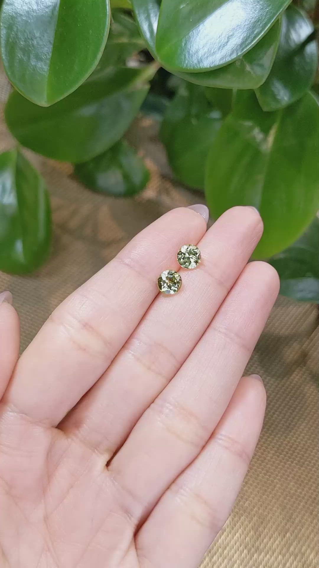 1.74&nbsp;Ct.Tw.Total Carat Weight Tourmaline Pair from Brazil Size Video