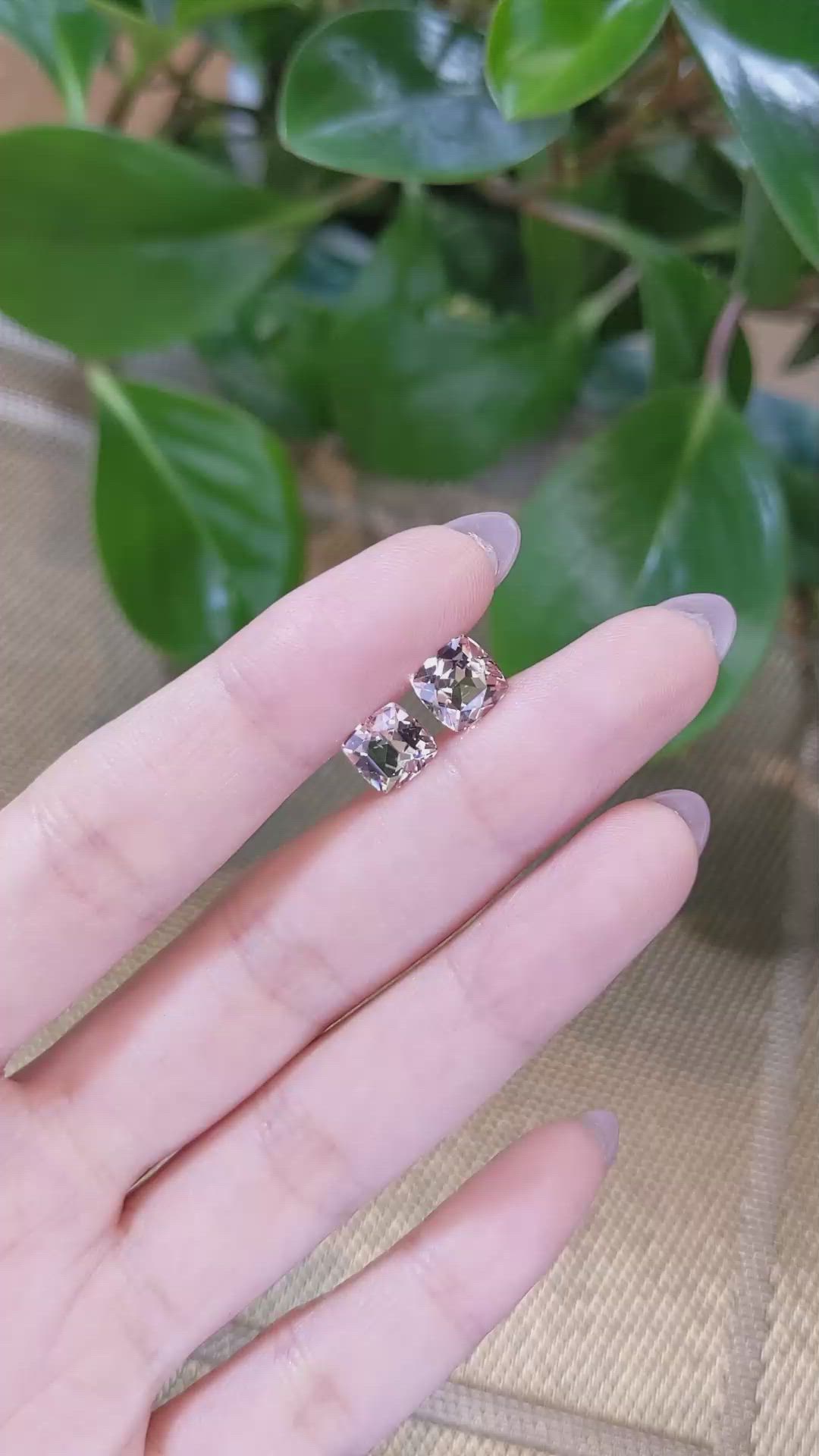 3.63&nbsp;Ct.Tw.Total Carat Weight Morganite Pair from Brazil Size Video