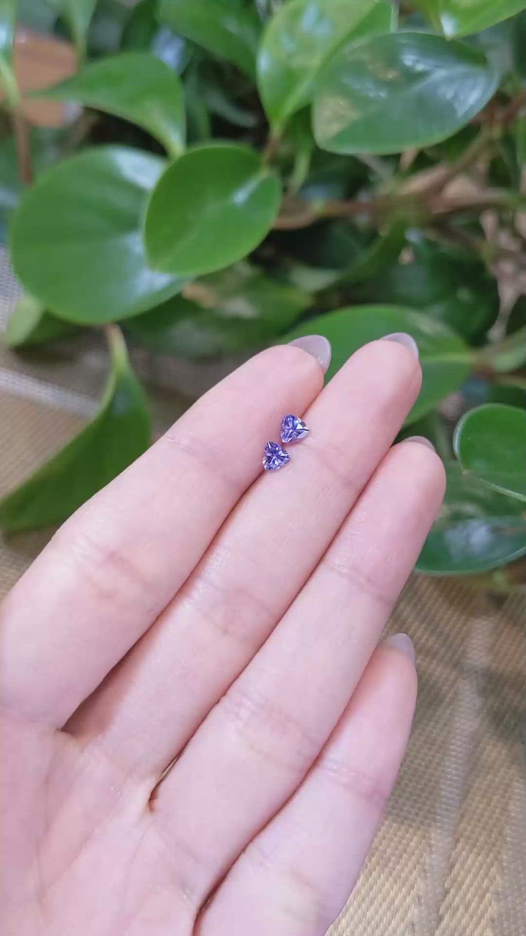 0.55 Ct.Tw.Total Carat Weight Tanzanite Pair from Tanzania Size Video