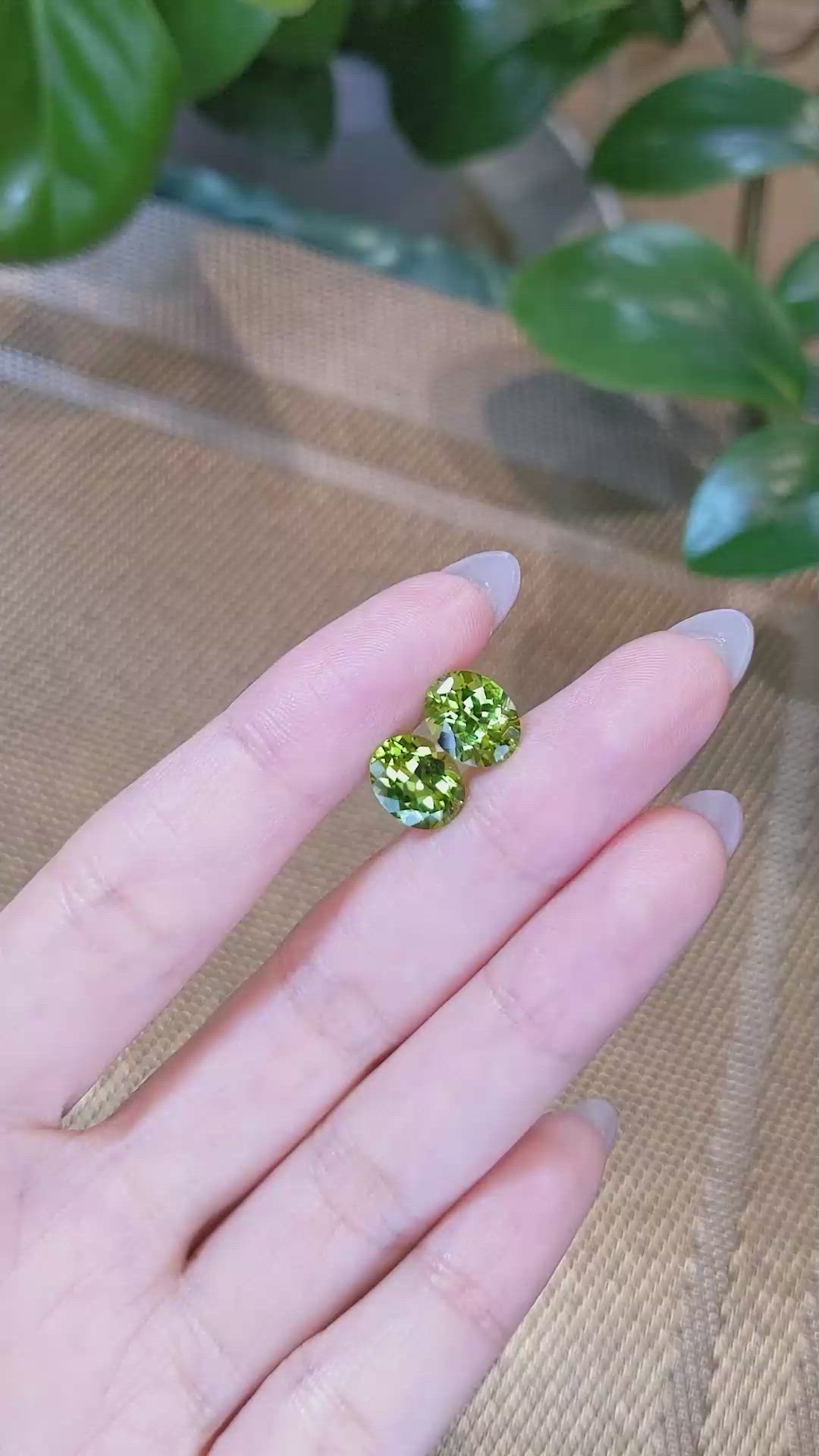 5.51&nbsp;Ct.Tw.Total Carat Weight Peridot Pair from Burma (Myanmar) Size Video