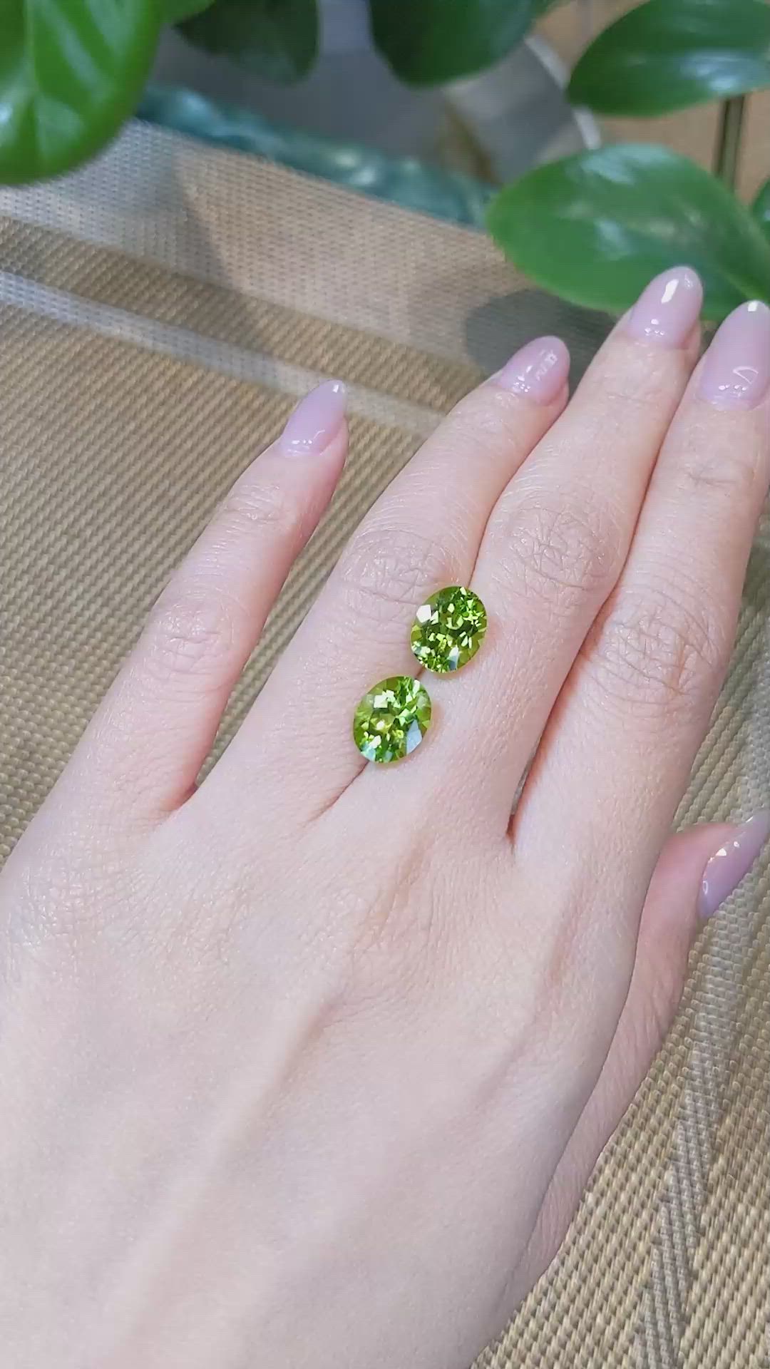 5.51&nbsp;Ct.Tw.Total Carat Weight Peridot Pair from Burma (Myanmar) Size Video