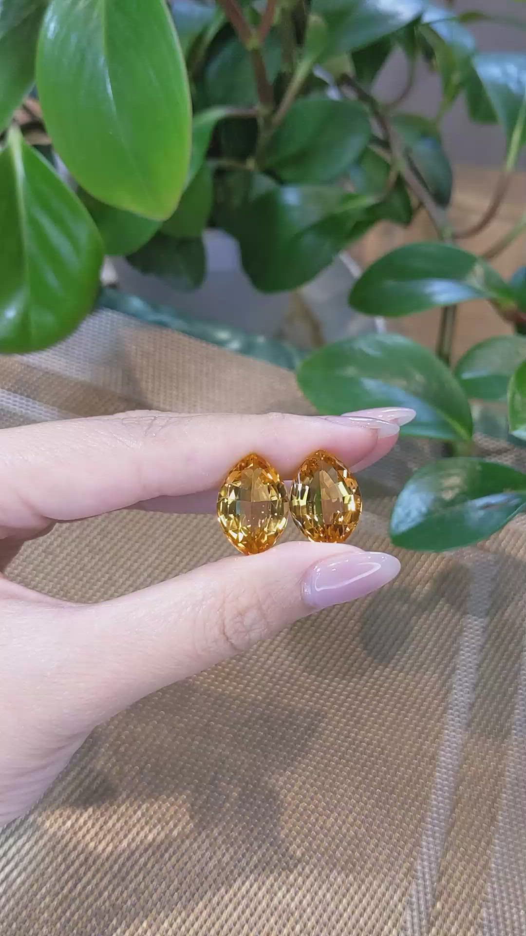 24.40&nbsp;Ct.Tw.Total Carat Weight Citrine Pair from Brazil Size Video