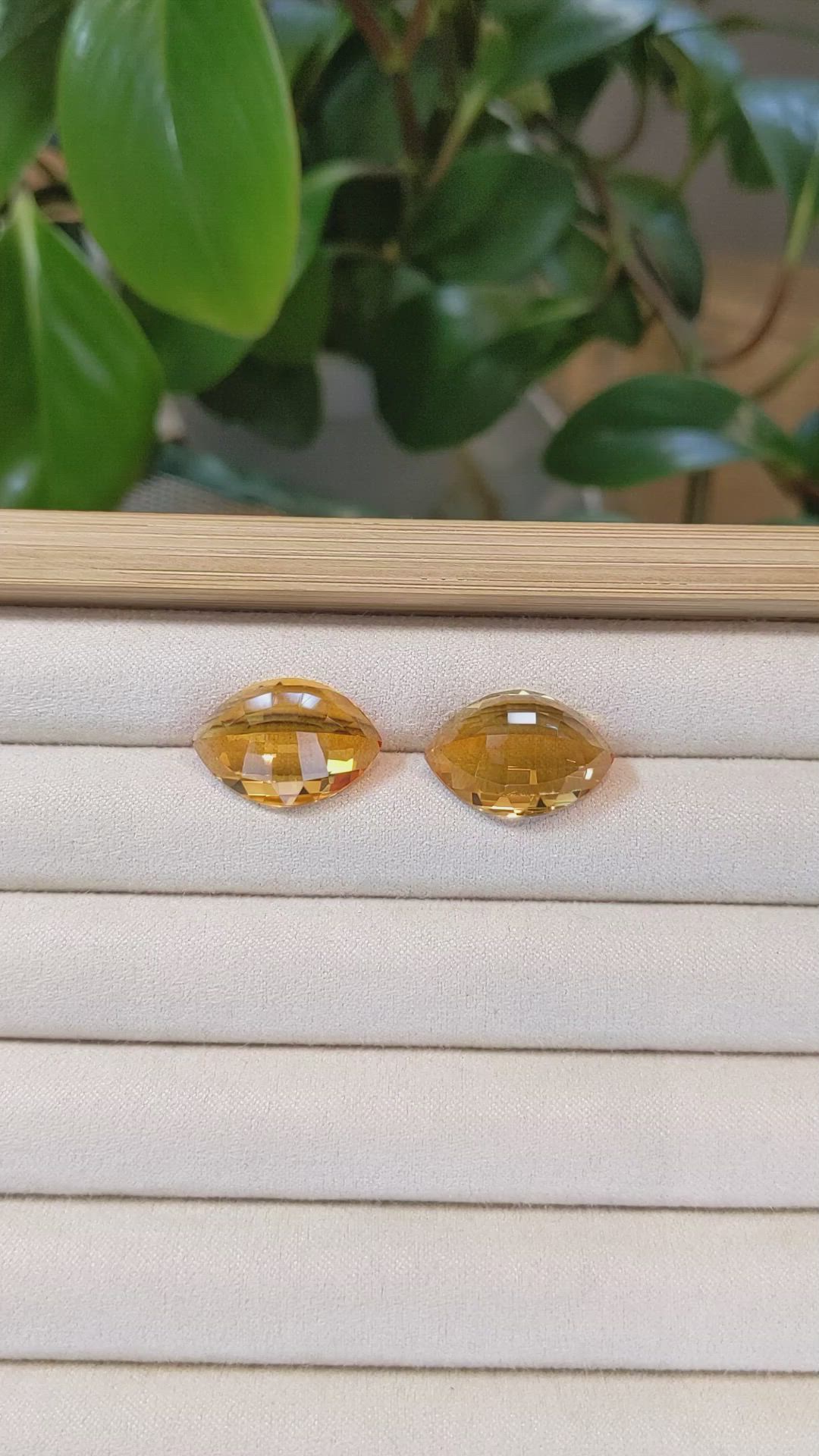 24.40&nbsp;Ct.Tw.Total Carat Weight Citrine Pair from Brazil Size Video
