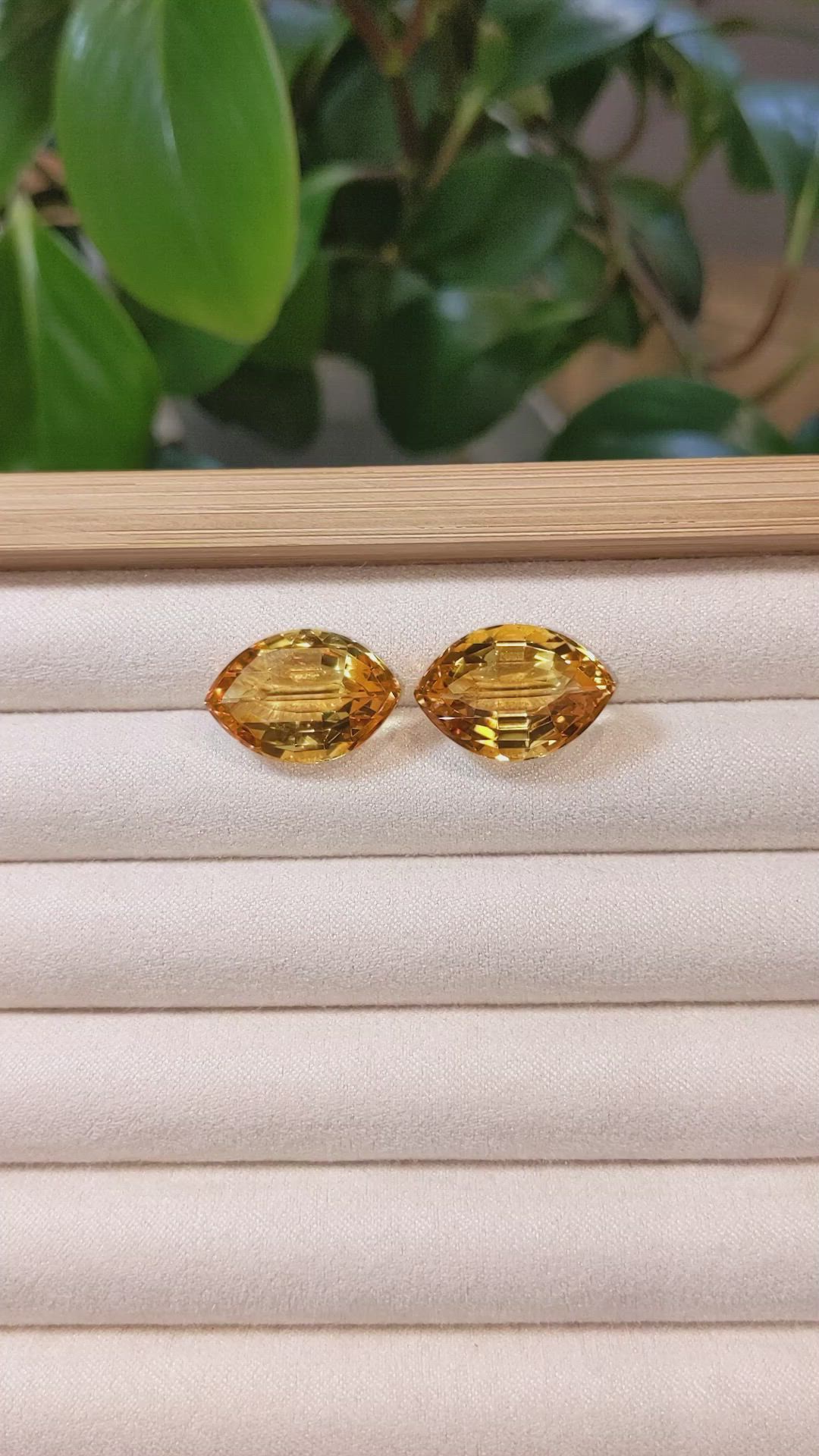 24.40&nbsp;Ct.Tw.Total Carat Weight Citrine Pair from Brazil Size Video