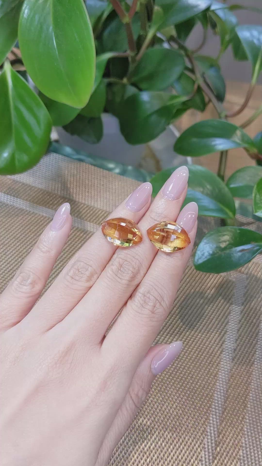 24.40&nbsp;Ct.Tw.Total Carat Weight Citrine Pair from Brazil Size Video