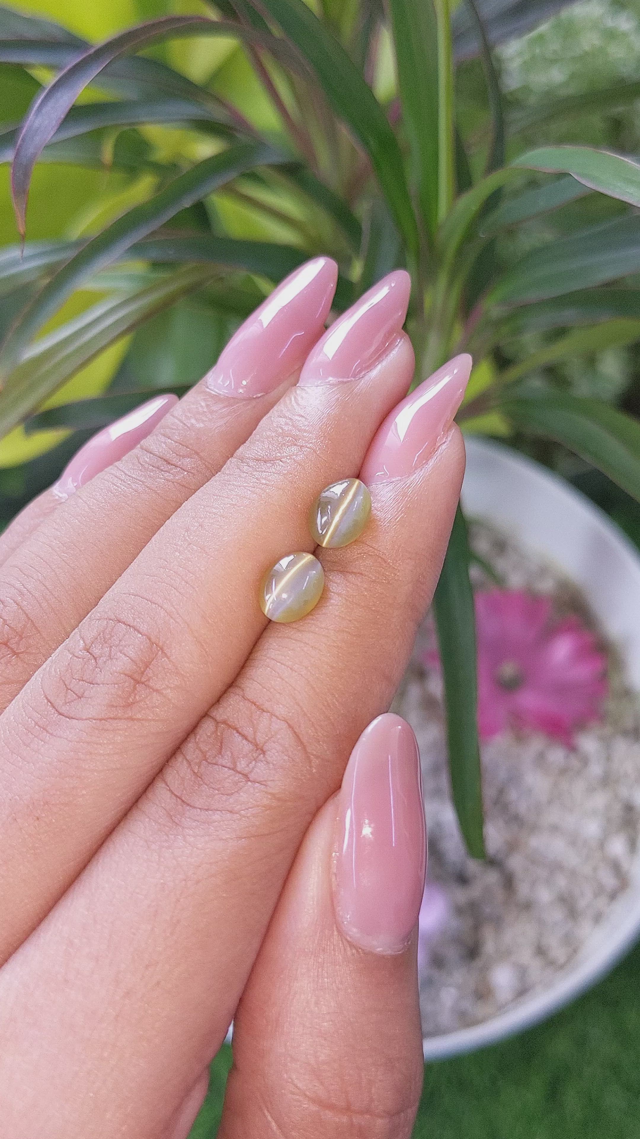 3.47 Ct.Tw.Total Carat Weight Cabochon Chrysoberyl Pair from Ceylon (Sri Lanka) Size Video