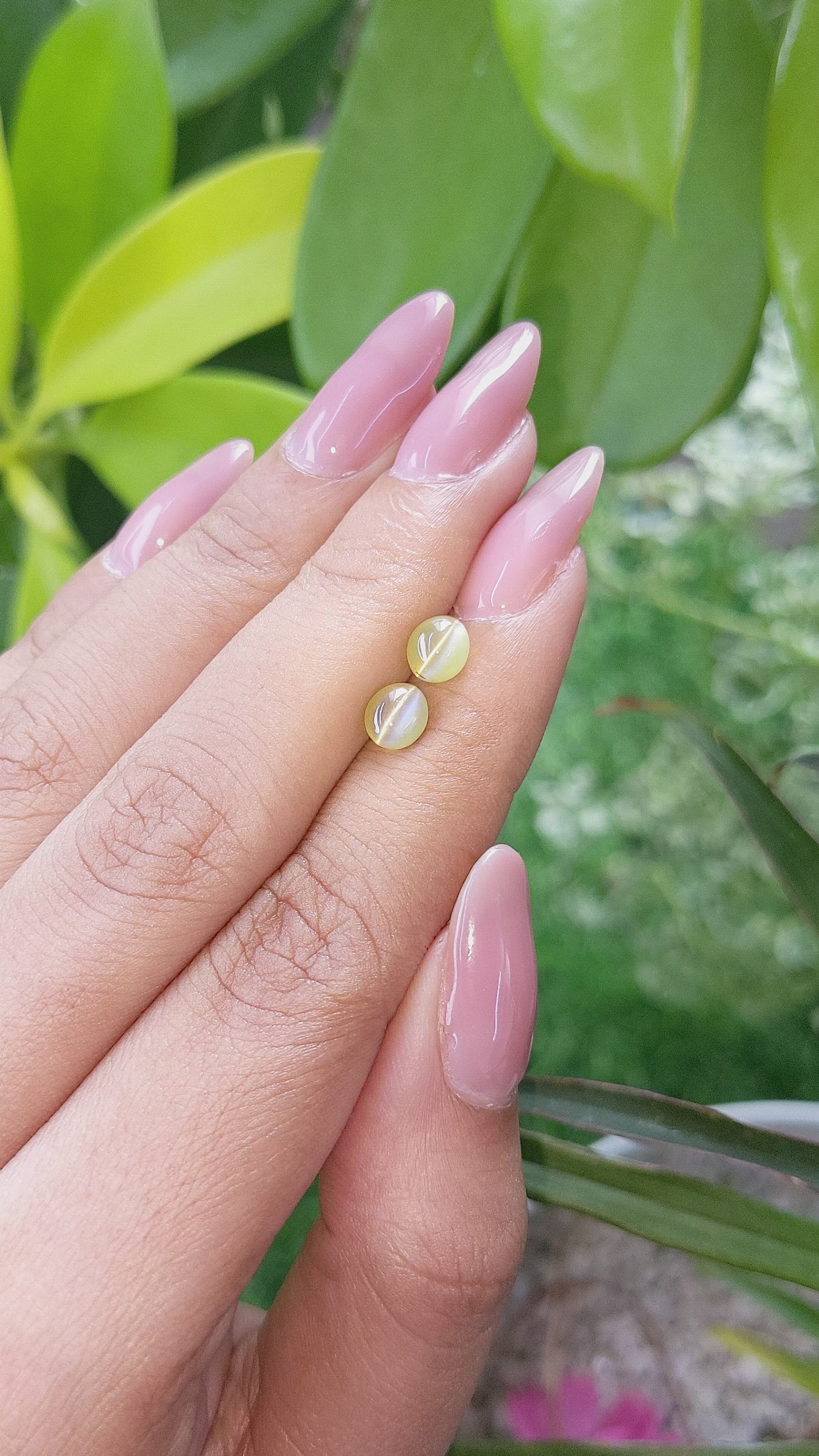 2.40 Ct.Tw.Total Carat Weight Cabochon Chrysoberyl Pair from Ceylon (Sri Lanka) Size Video