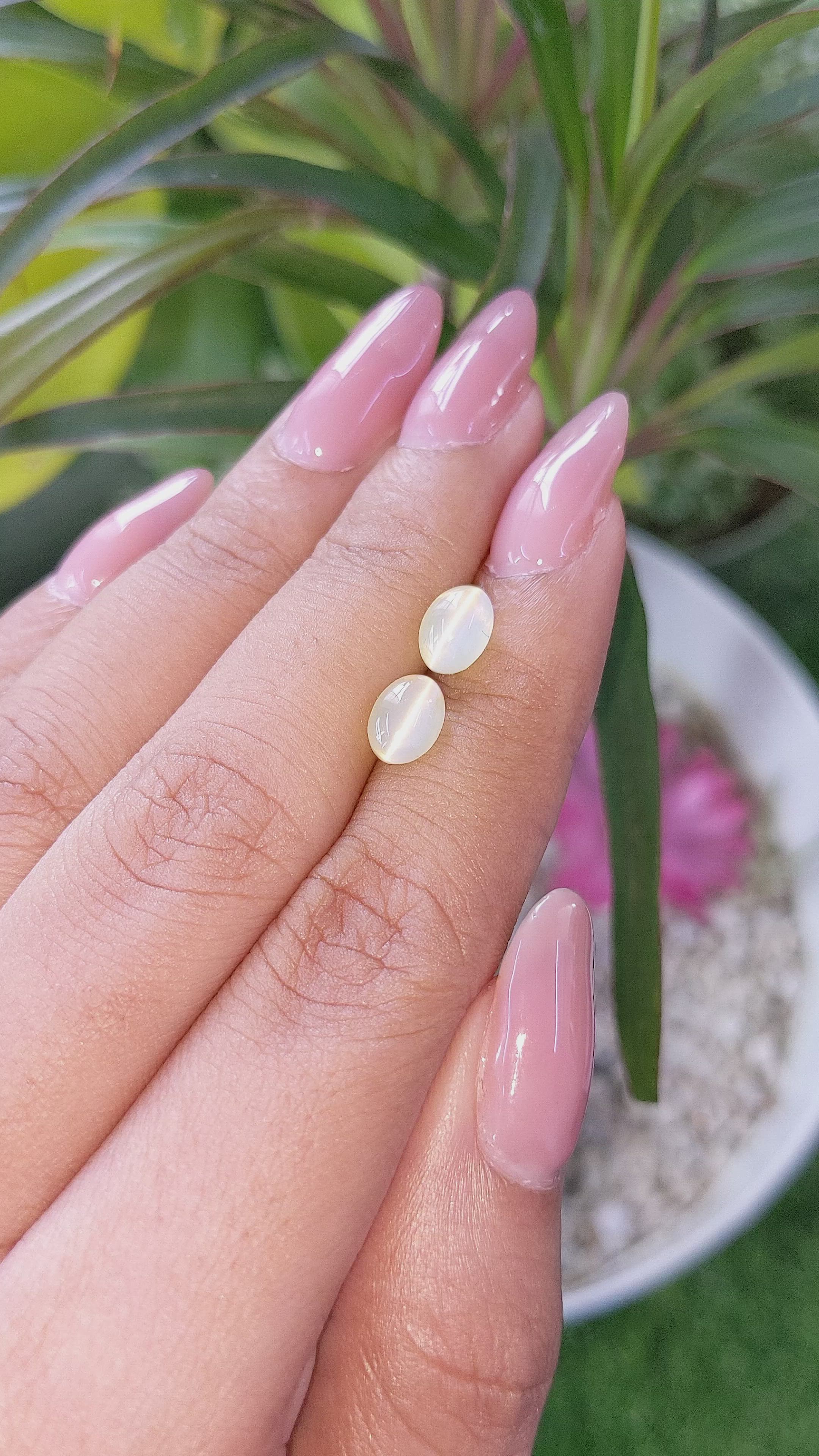 3.48&nbsp;Ct.Tw.Total Carat Weight Cabochon Chrysoberyl Pair from Ceylon (Sri Lanka) Size Video