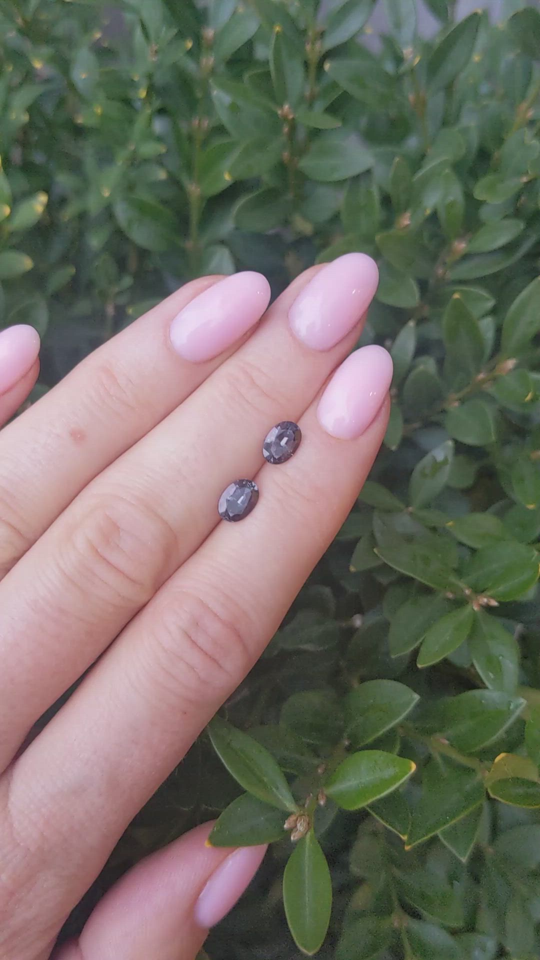 1.64&nbsp;Ct.Tw.Total Carat Weight Alexandrite Pair from Brazil Size Video