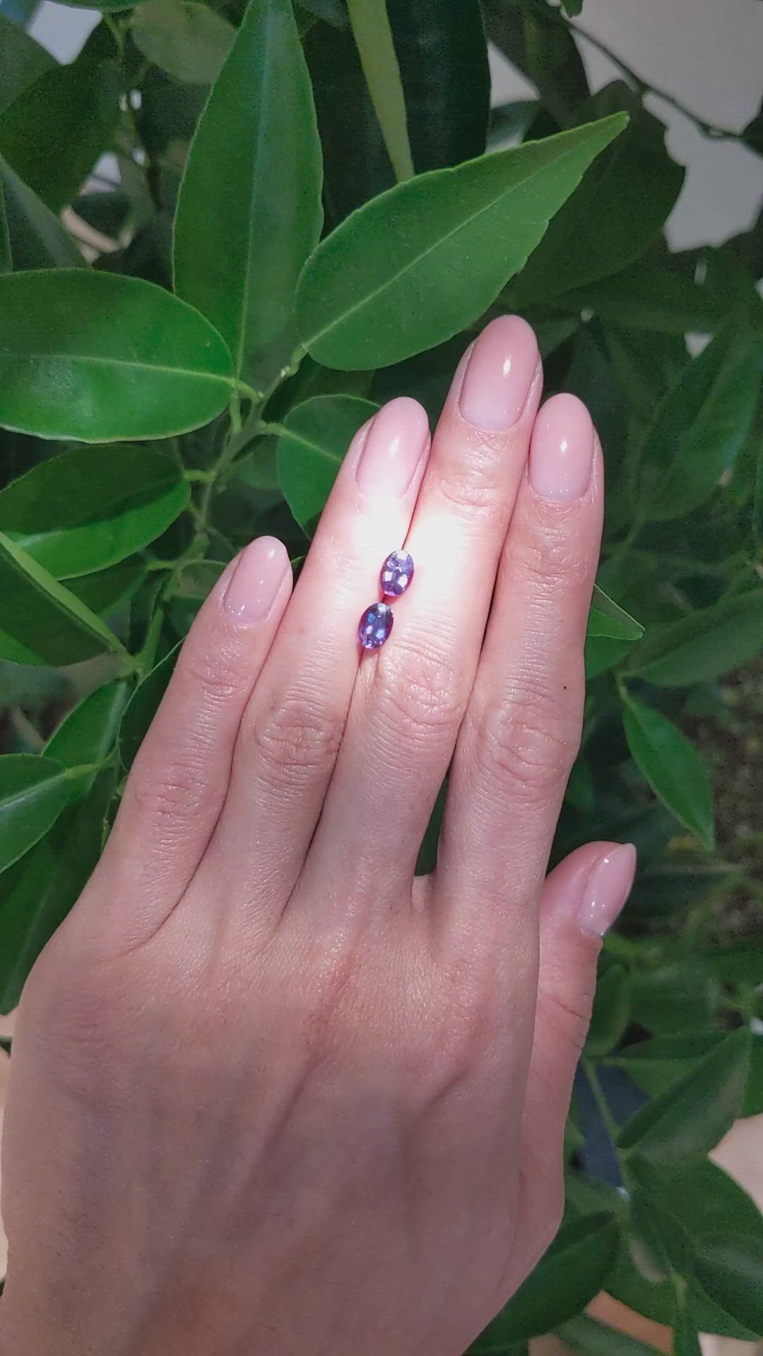 1.64&nbsp;Ct.Tw.Total Carat Weight Alexandrite Pair from Brazil Size Video