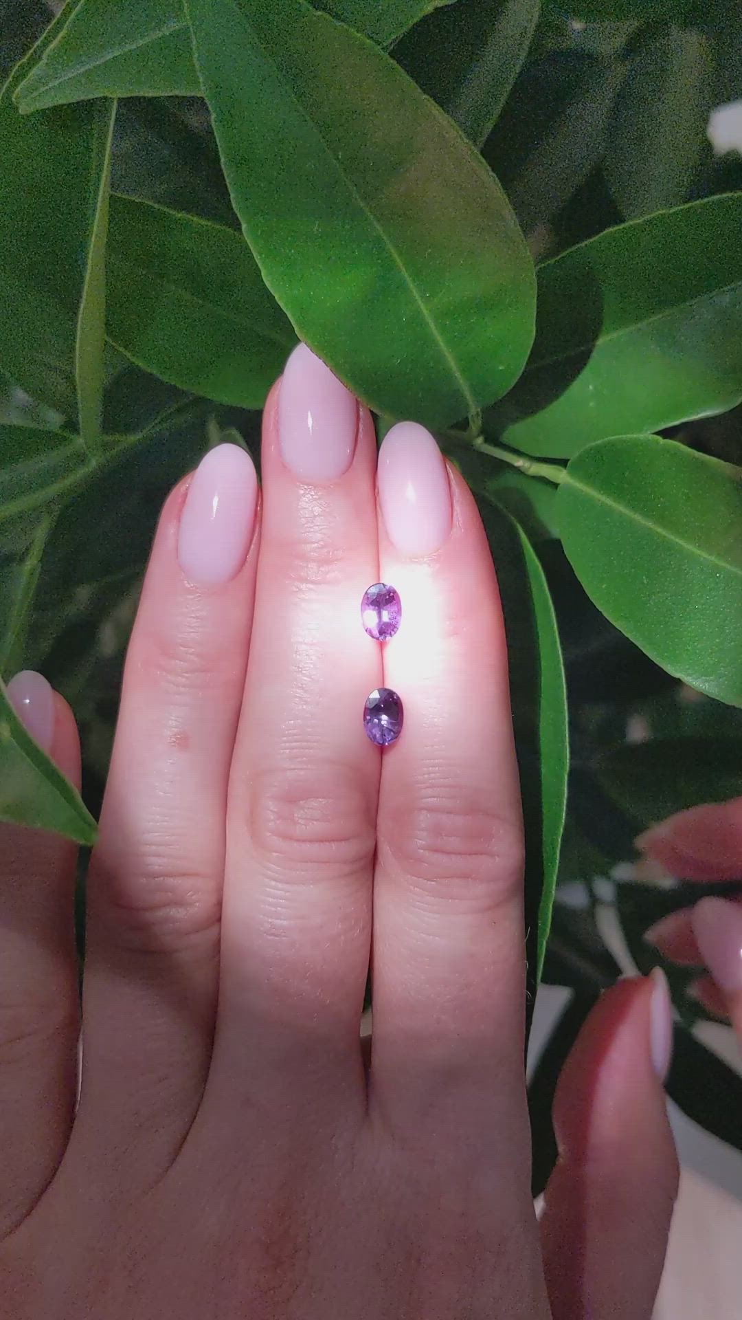 1.64&nbsp;Ct.Tw.Total Carat Weight Alexandrite Pair from Brazil Size Video