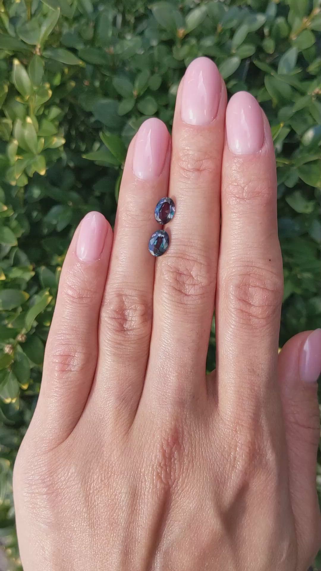 2.04&nbsp;Ct.Tw.Total Carat Weight Alexandrite Pair from Brazil Size Video