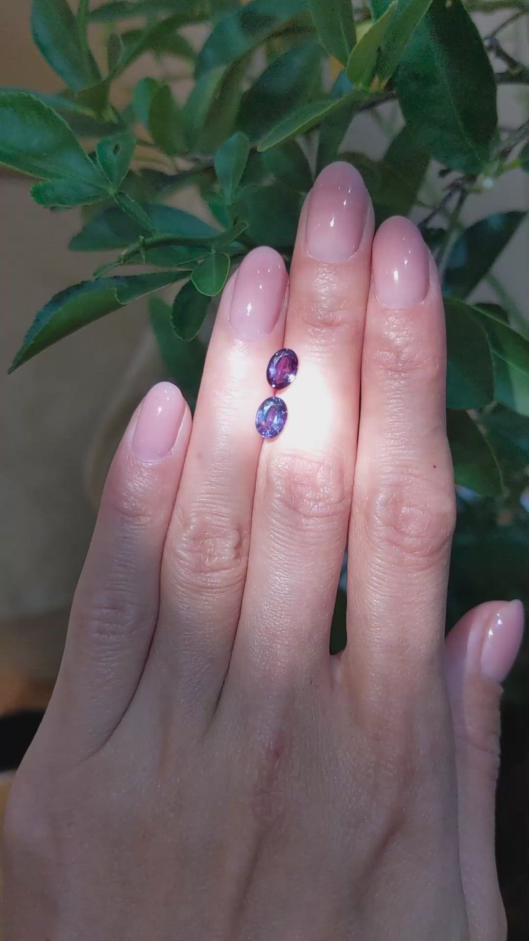 2.04&nbsp;Ct.Tw.Total Carat Weight Alexandrite Pair from Brazil Size Video