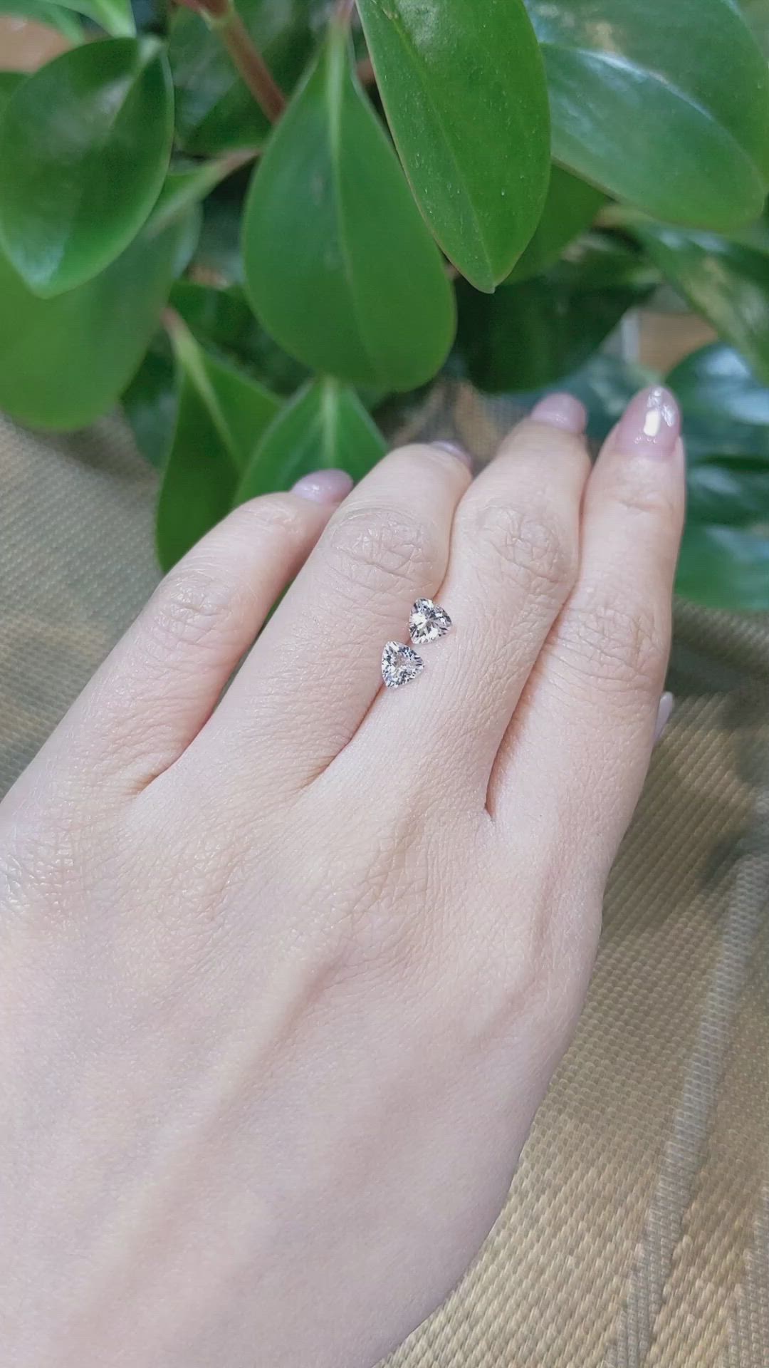 0.81 Ct.Tw.Total Carat Weight Morganite Pair from Brazil Size Video