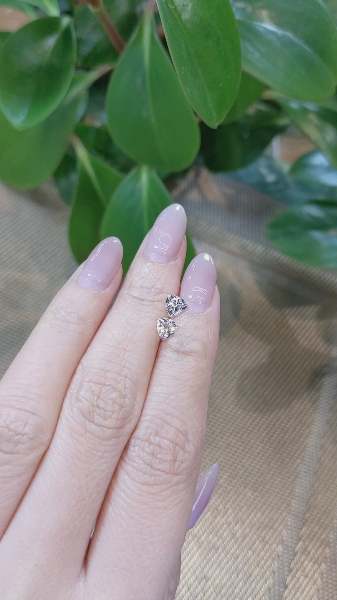 0.81 Ct.Tw.Total Carat Weight Morganite Pair from Brazil Size Video