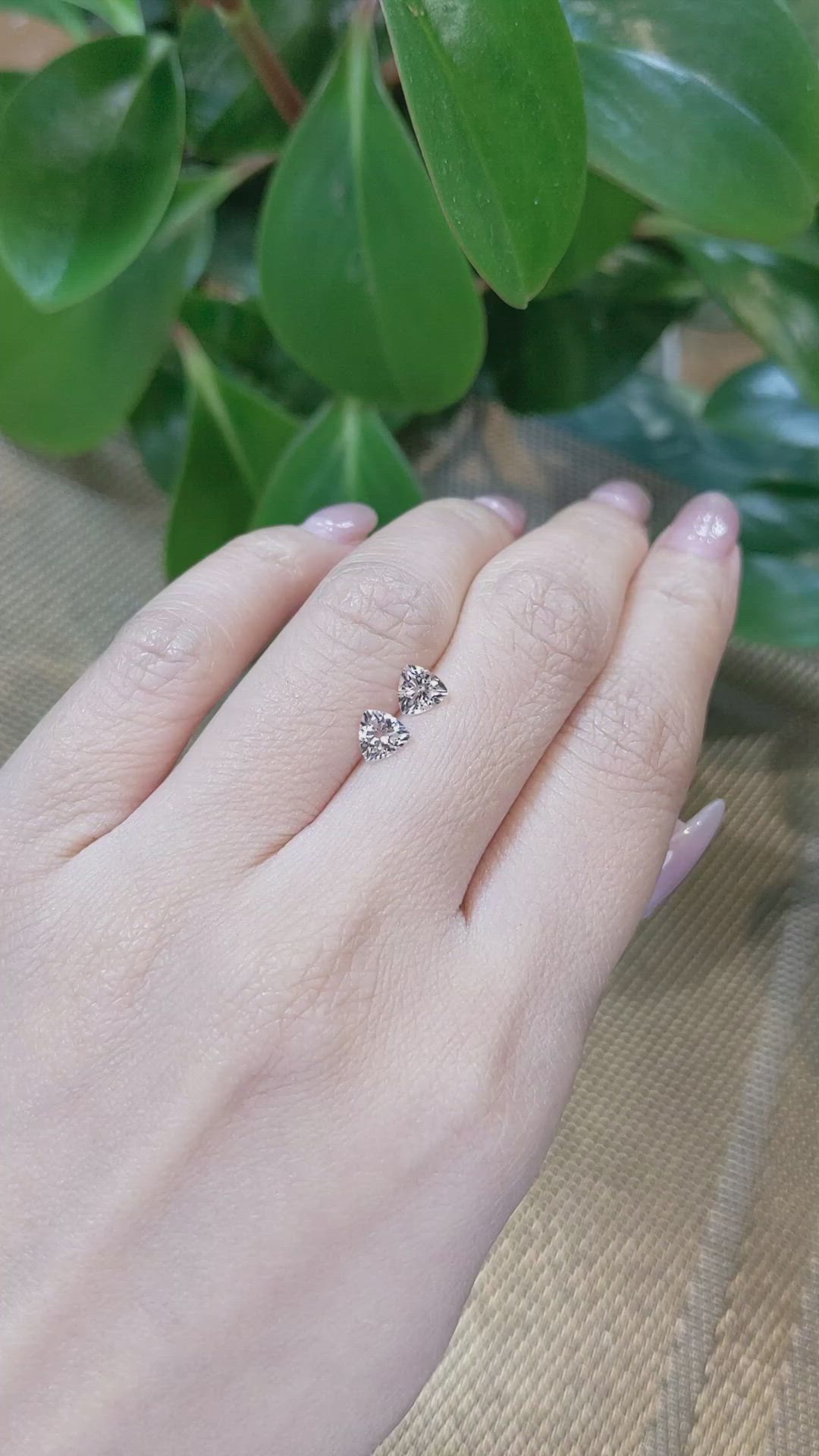 0.81&nbsp;Ct.Tw.Total Carat Weight Morganite Pair from Brazil Size Video