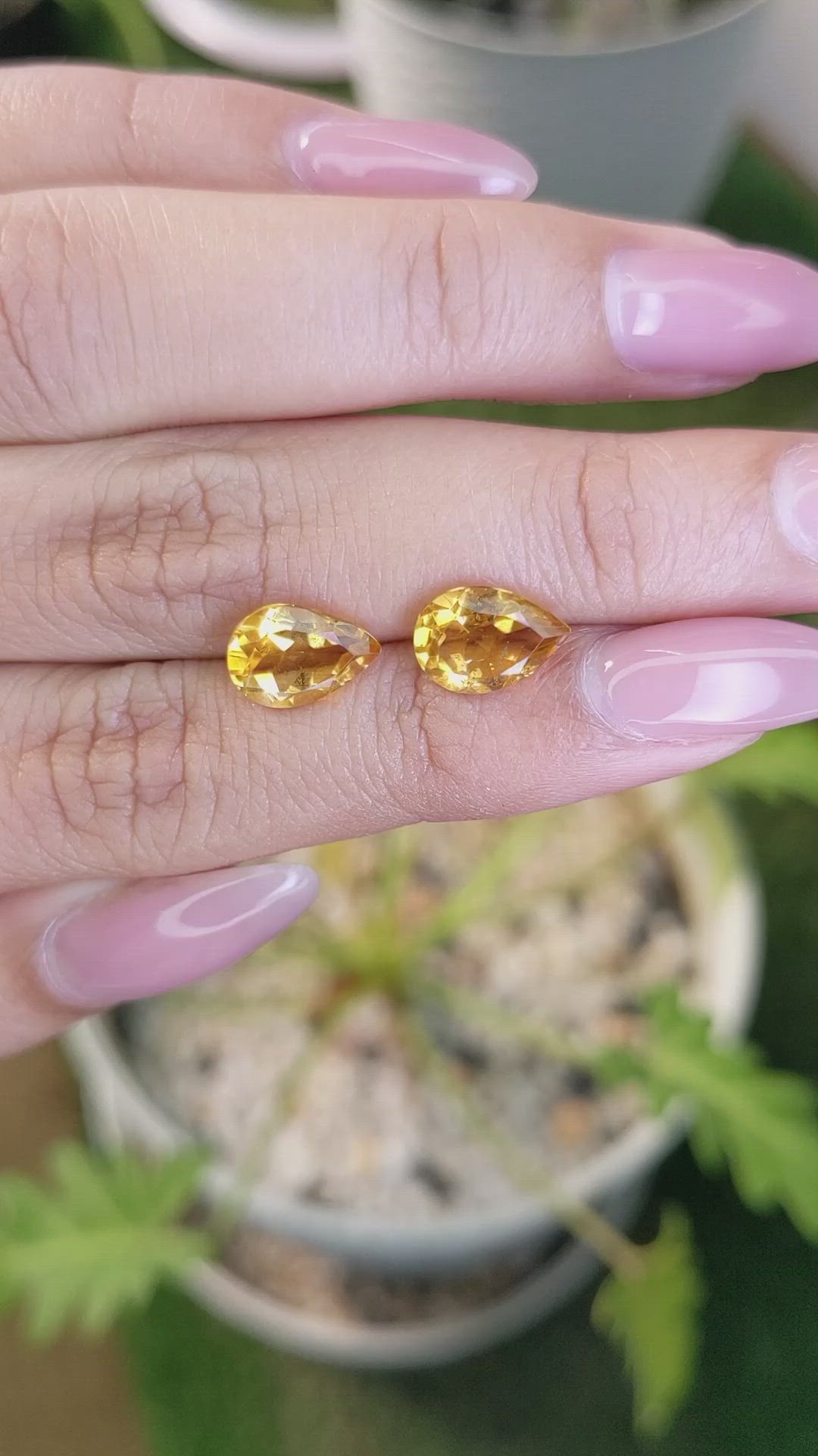 3.32&nbsp;Ct.Tw.Total Carat Weight Citrine Pair from Brazil Size Video