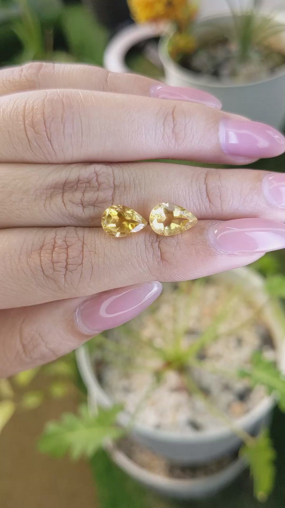 3.84&nbsp;Ct.Tw.Total Carat Weight Citrine Pair from Brazil Size Video