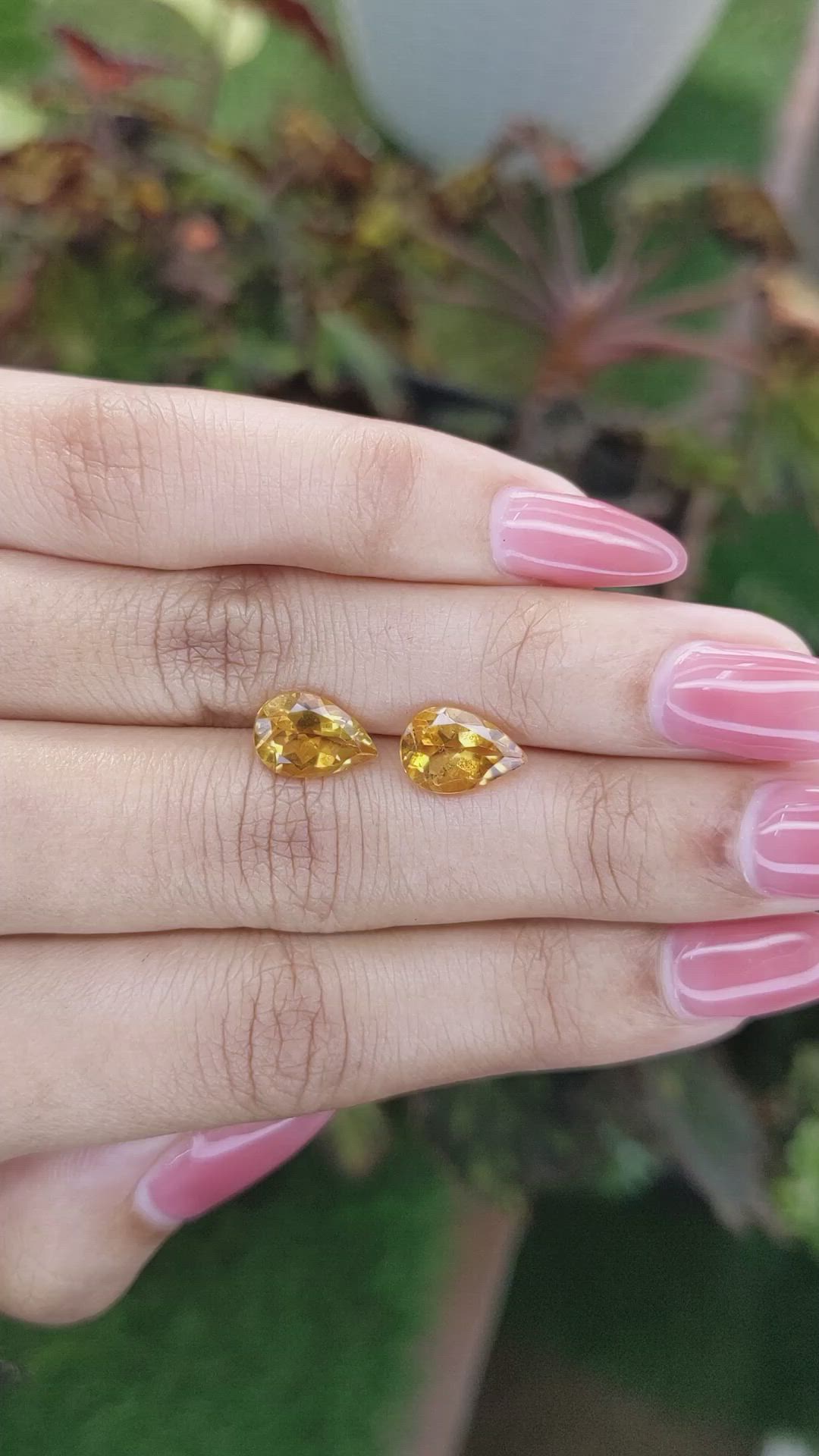 3.36&nbsp;Ct.Tw.Total Carat Weight Citrine Pair from Brazil Size Video