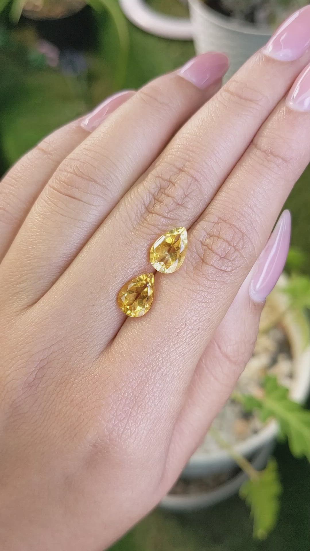 3.93&nbsp;Ct.Tw.Total Carat Weight Citrine Pair from Brazil Size Video