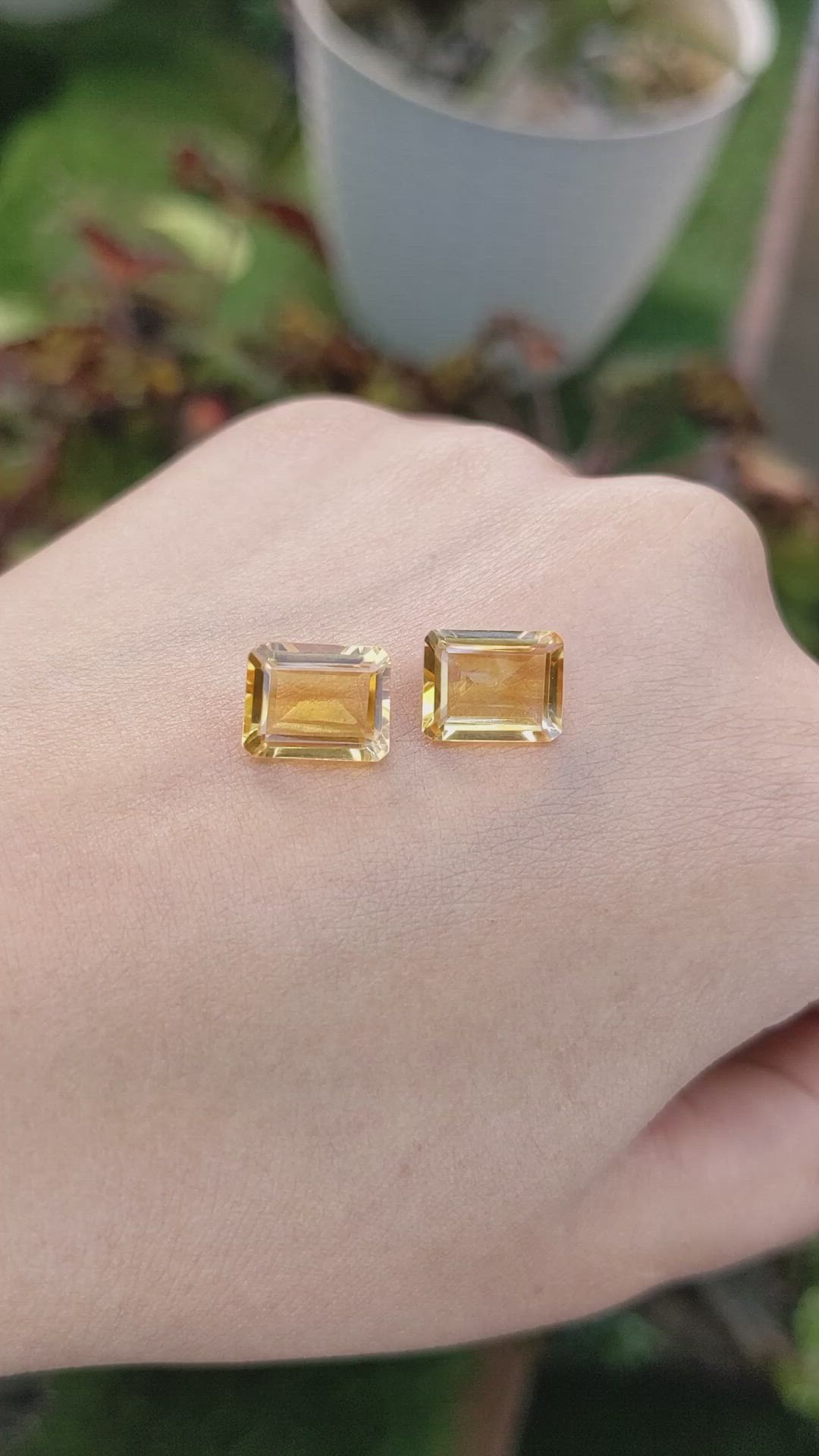 5.39&nbsp;Ct.Tw.Total Carat Weight Citrine Pair from Brazil Size Video