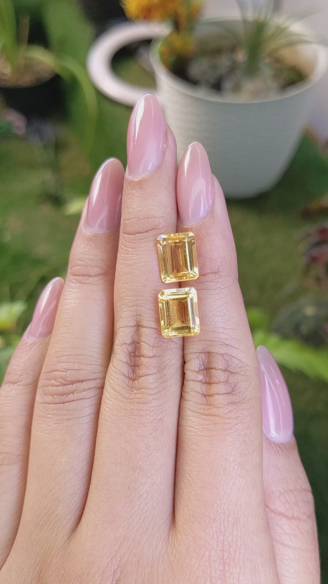 6.04&nbsp;Ct.Tw.Total Carat Weight Citrine Pair from Brazil Size Video