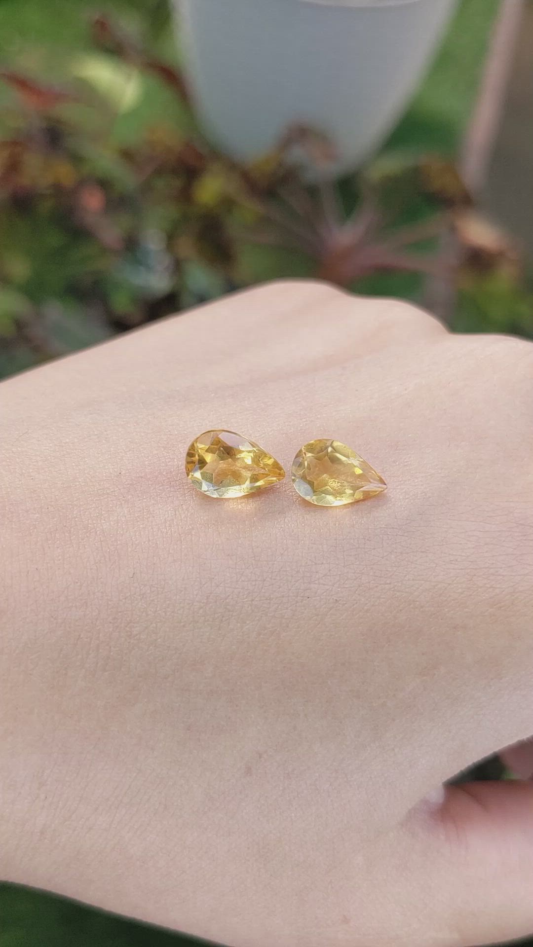 2.98&nbsp;Ct.Tw.Total Carat Weight Citrine Pair from Brazil Size Video