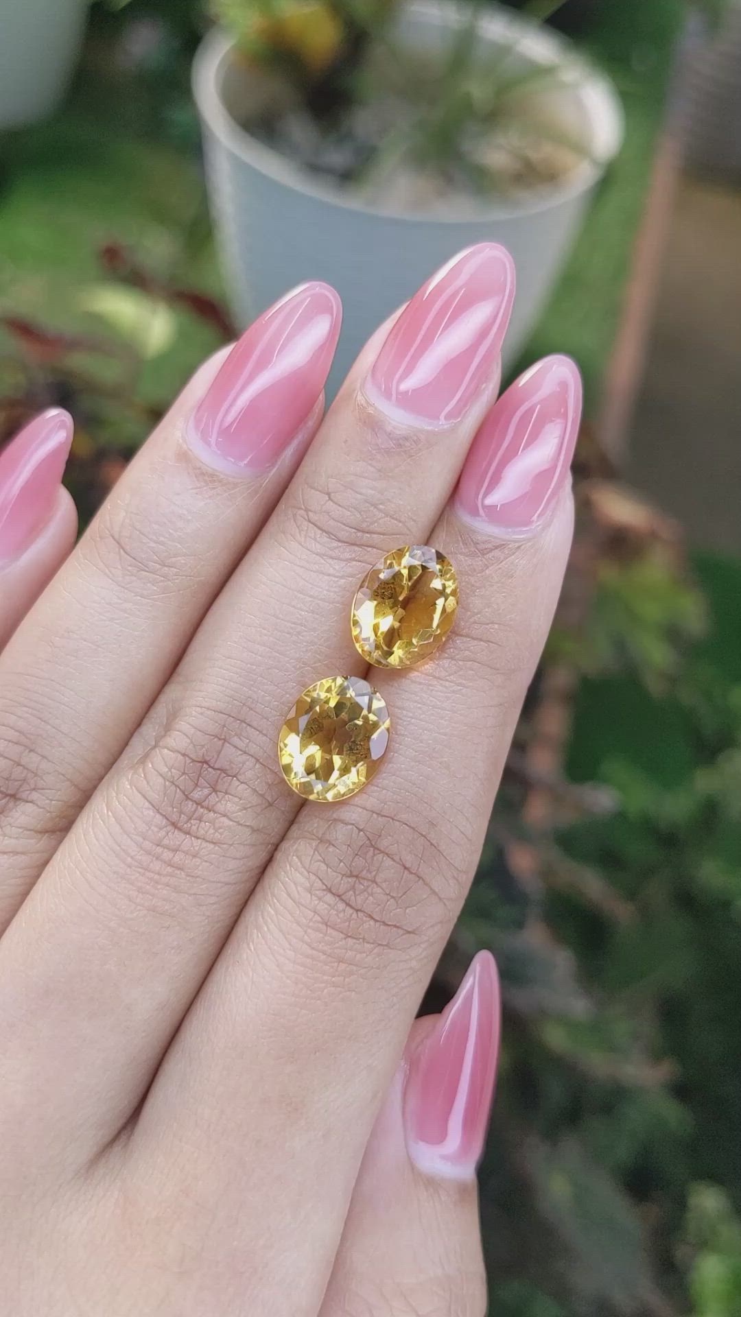 6.55&nbsp;Ct.Tw.Total Carat Weight Citrine Pair from Brazil Size Video