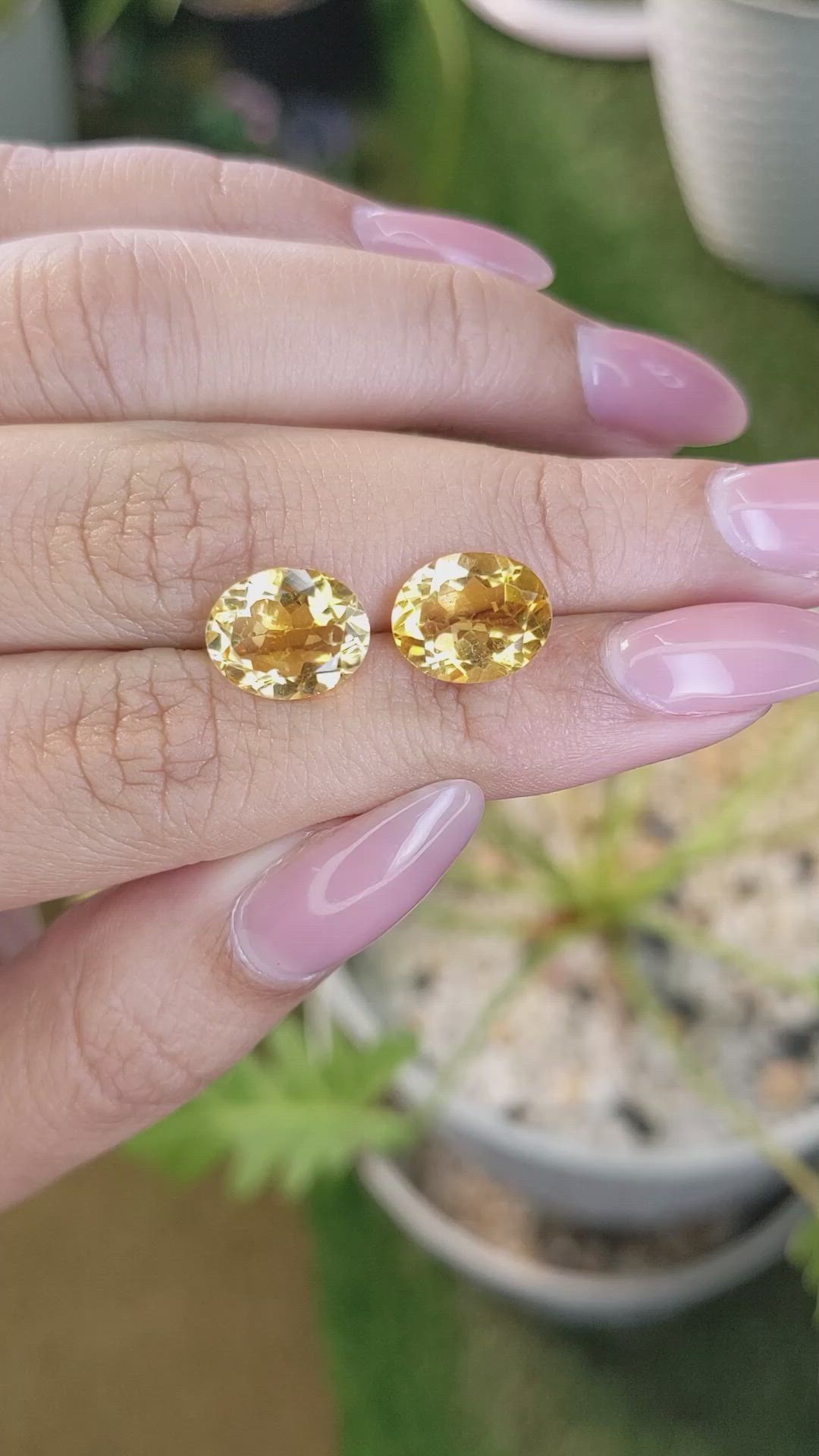 6.17&nbsp;Ct.Tw.Total Carat Weight Citrine Pair from Brazil Size Video