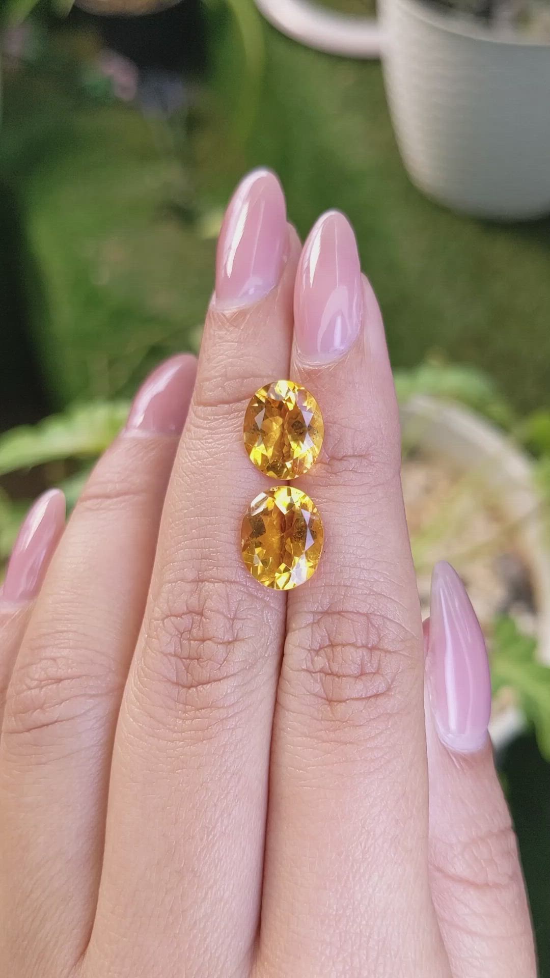 5.88&nbsp;Ct.Tw.Total Carat Weight Citrine Pair from Brazil Size Video