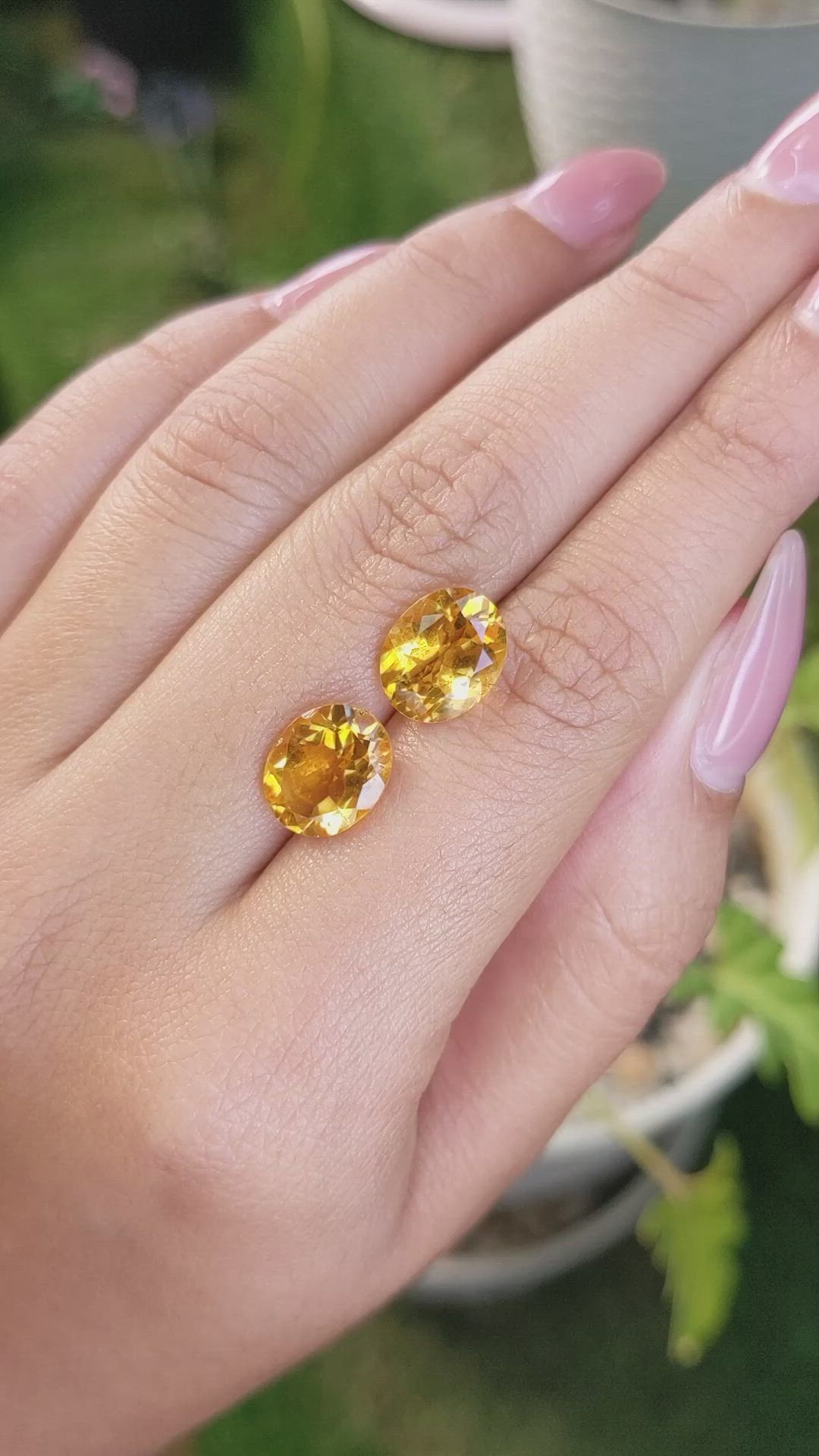 5.88&nbsp;Ct.Tw.Total Carat Weight Citrine Pair from Brazil Size Video