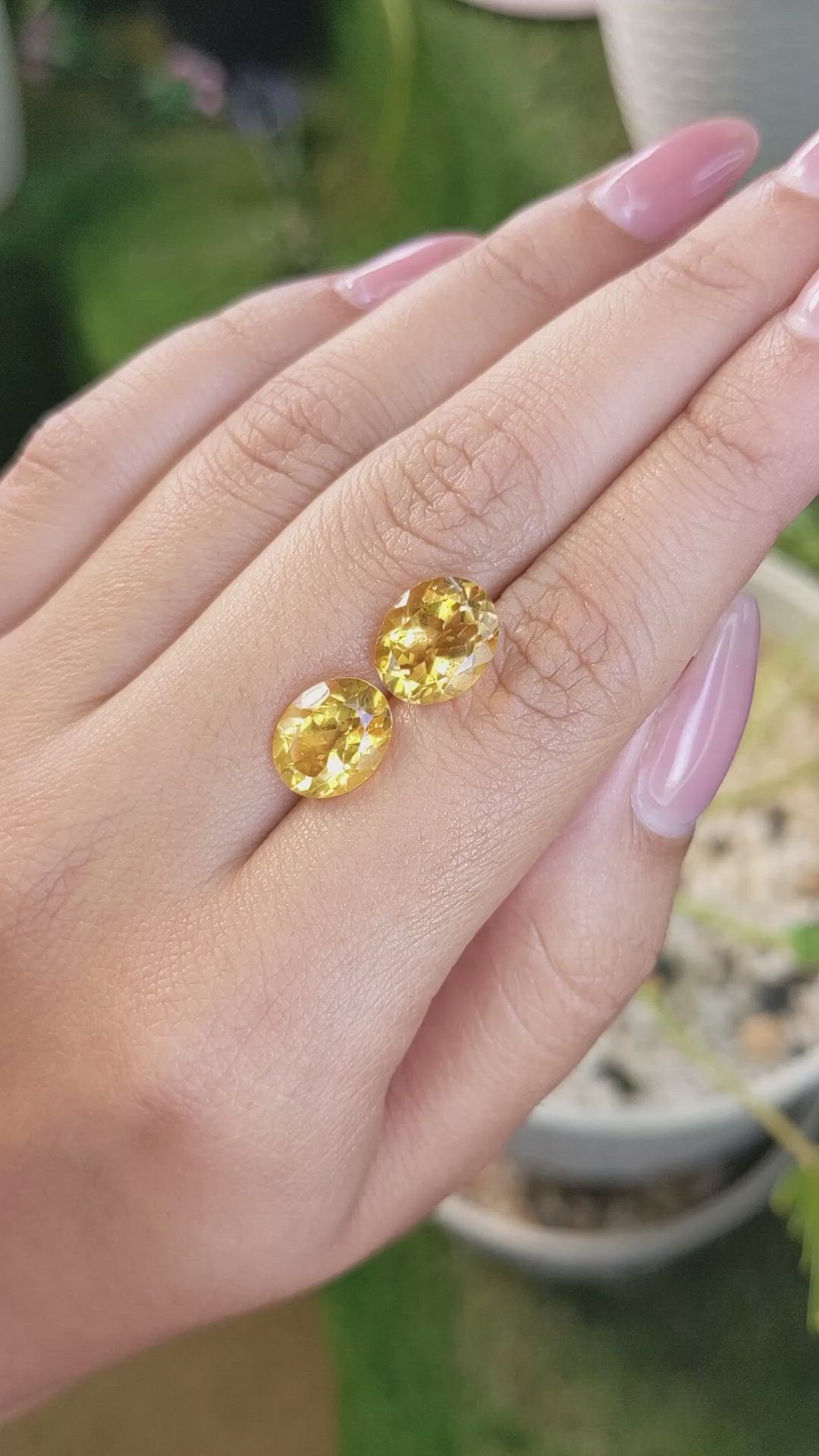 6.29&nbsp;Ct.Tw.Total Carat Weight Citrine Pair from Brazil Size Video