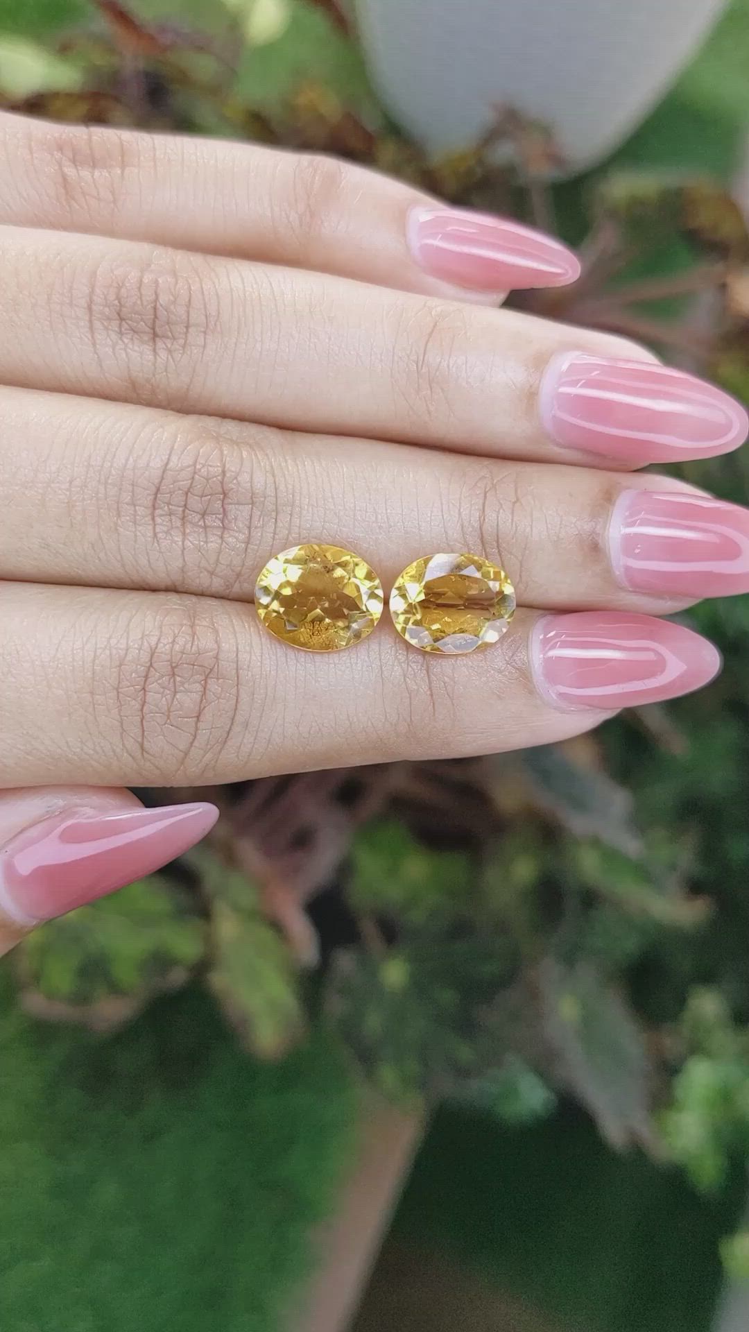 5.80&nbsp;Ct.Tw.Total Carat Weight Citrine Pair from Brazil Size Video