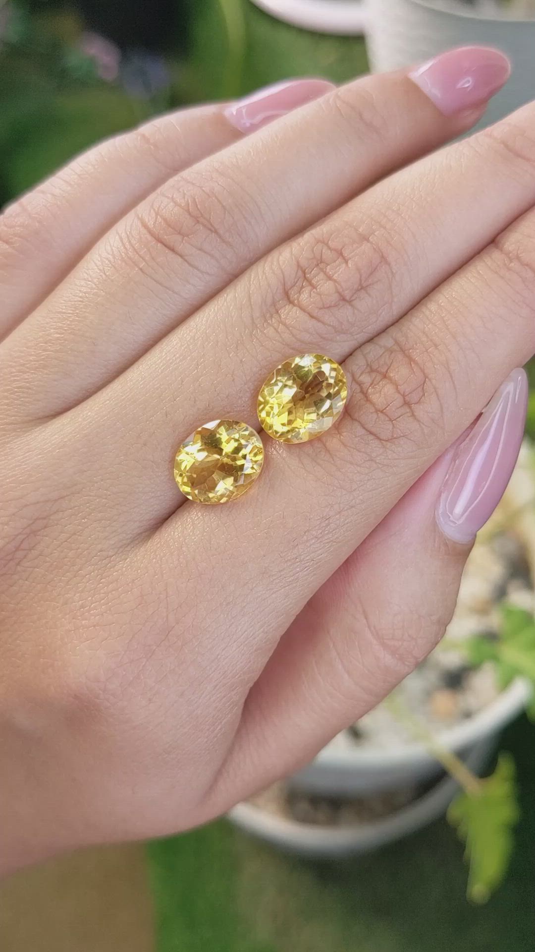 6.30&nbsp;Ct.Tw.Total Carat Weight Citrine Pair from Brazil Size Video