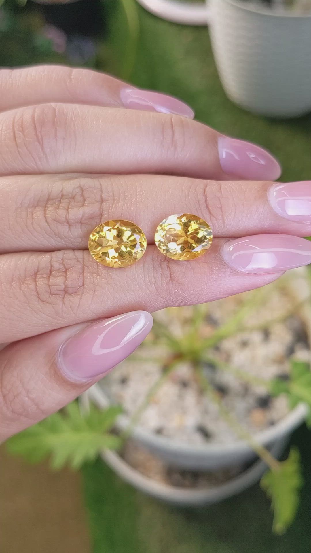 6.95&nbsp;Ct.Tw.Total Carat Weight Citrine Pair from Brazil Size Video