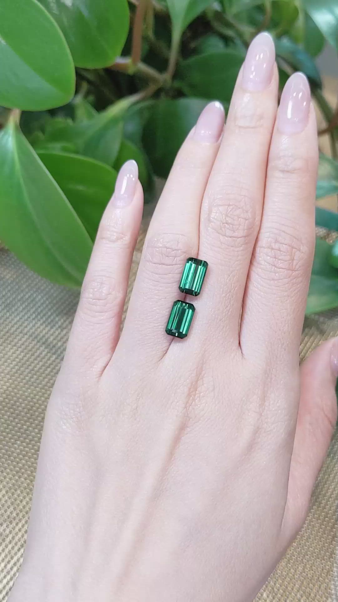 4.97&nbsp;Ct.Tw.Total Carat Weight Tourmaline Pair from Mozambique Size Video