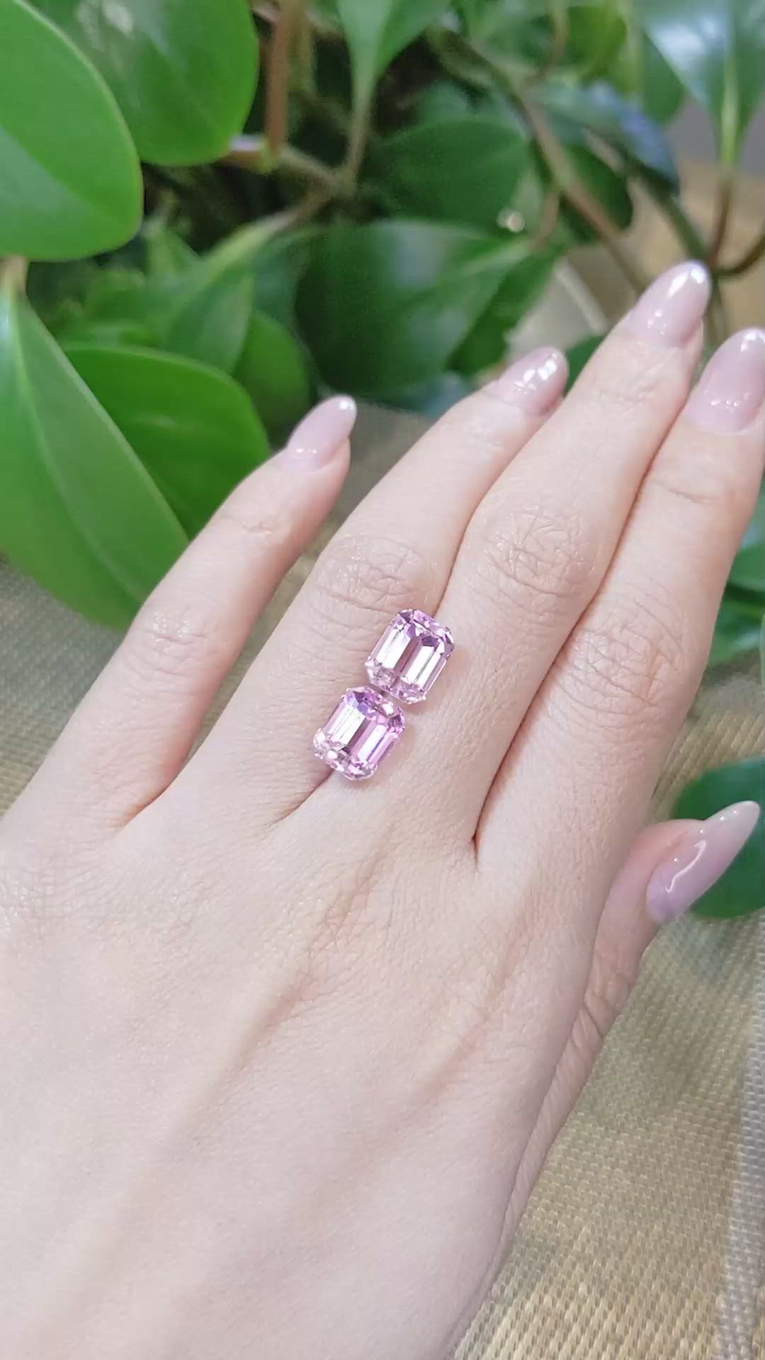 8.67&nbsp;Ct.Tw.Total Carat Weight Kunzite Pair from Afghanistan Size Video