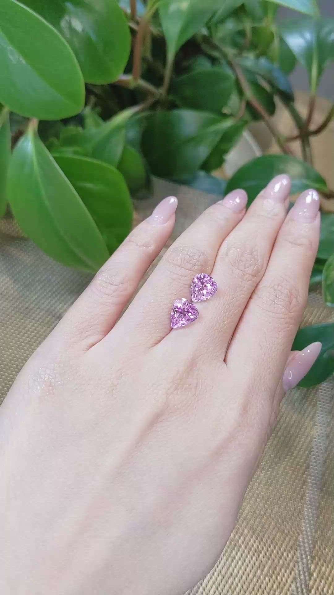 5.42&nbsp;Ct.Tw.Total Carat Weight Kunzite Pair from Afghanistan Size Video