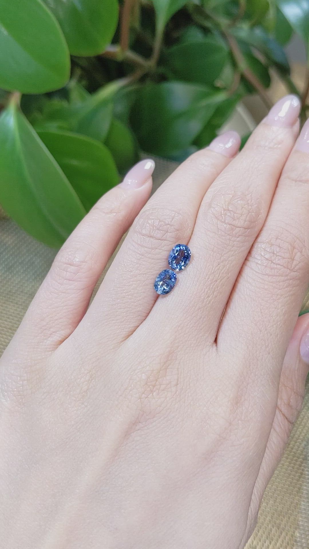 1.43 Ct.Tw.Total Carat Weight Aquamarine Pair from Brazil Size Video