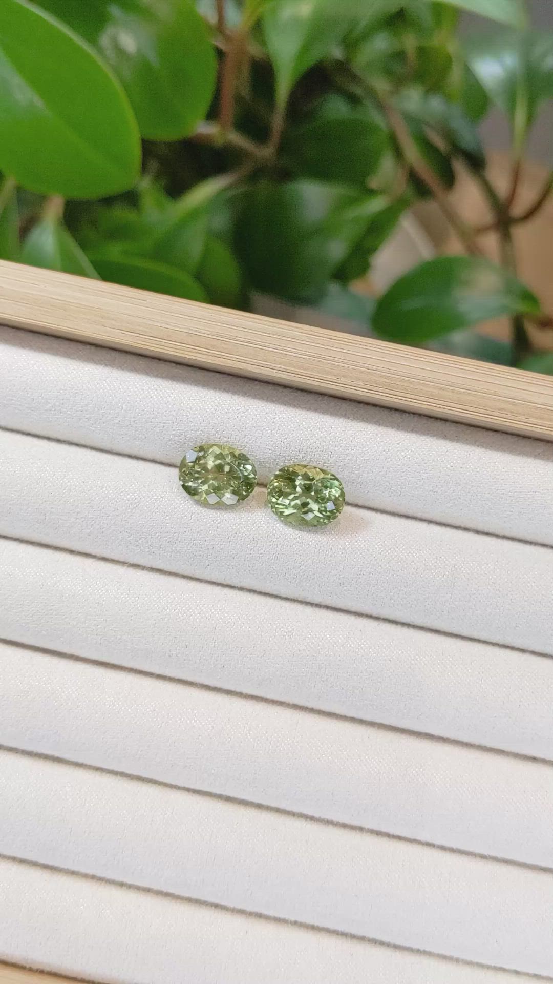 8.93&nbsp;Ct.Tw.Total Carat Weight Apatite Pair from Madagascar Size Video