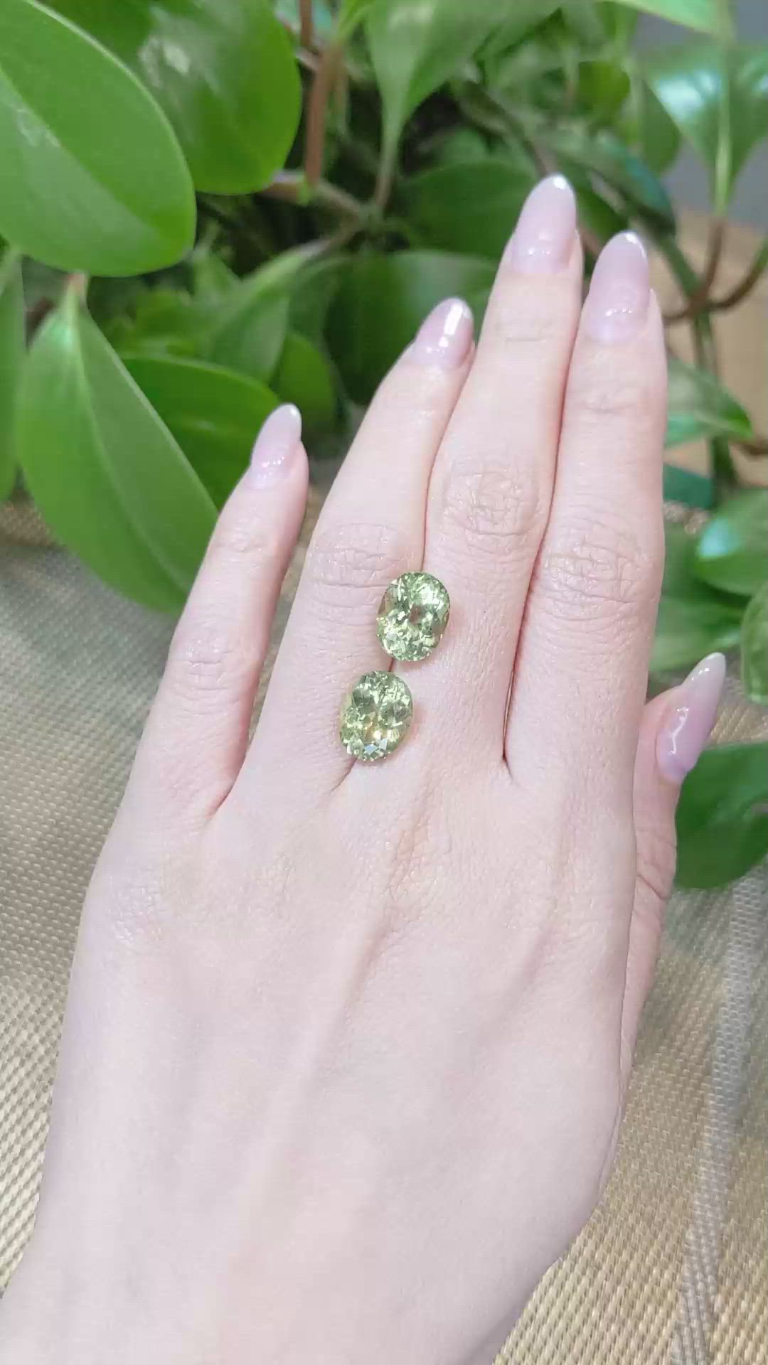 8.93&nbsp;Ct.Tw.Total Carat Weight Apatite Pair from Madagascar Size Video