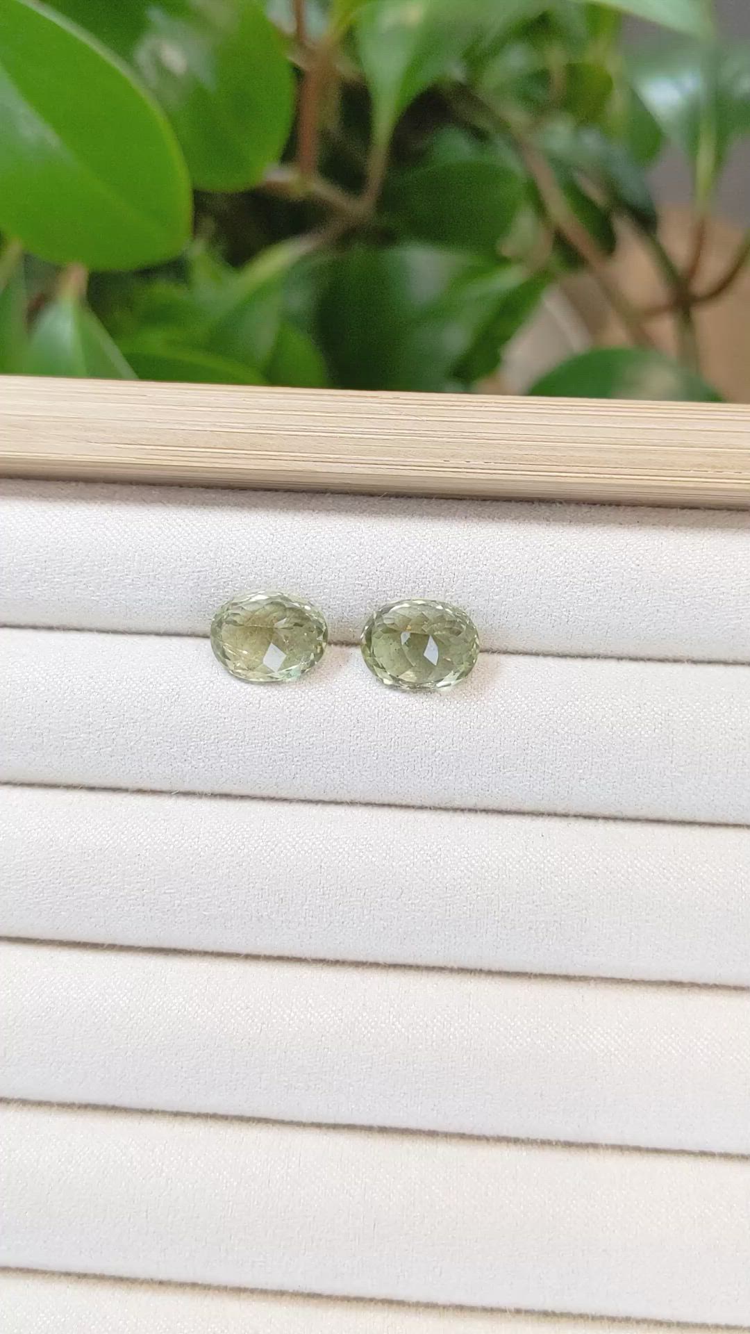 8.93&nbsp;Ct.Tw.Total Carat Weight Apatite Pair from Madagascar Size Video