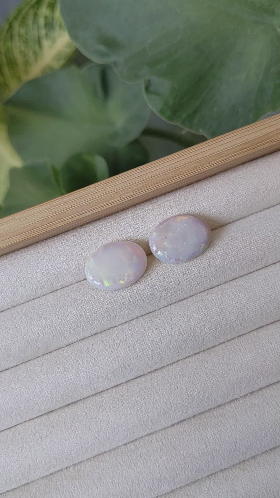 14.07&nbsp;Ct.Tw.Total Carat Weight Cabochon Opal Pair from Australia Size Video