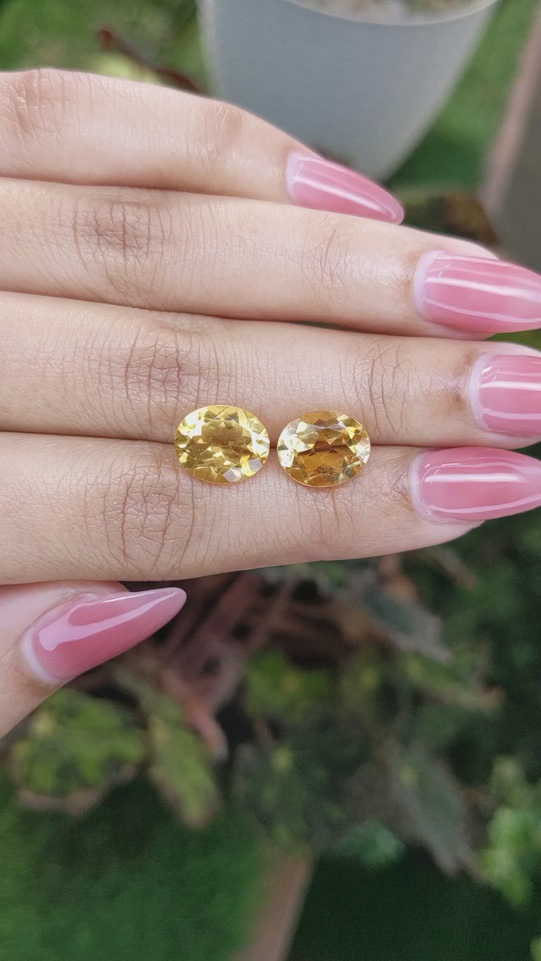 6.21&nbsp;Ct.Tw.Total Carat Weight Citrine Pair from Brazil Size Video