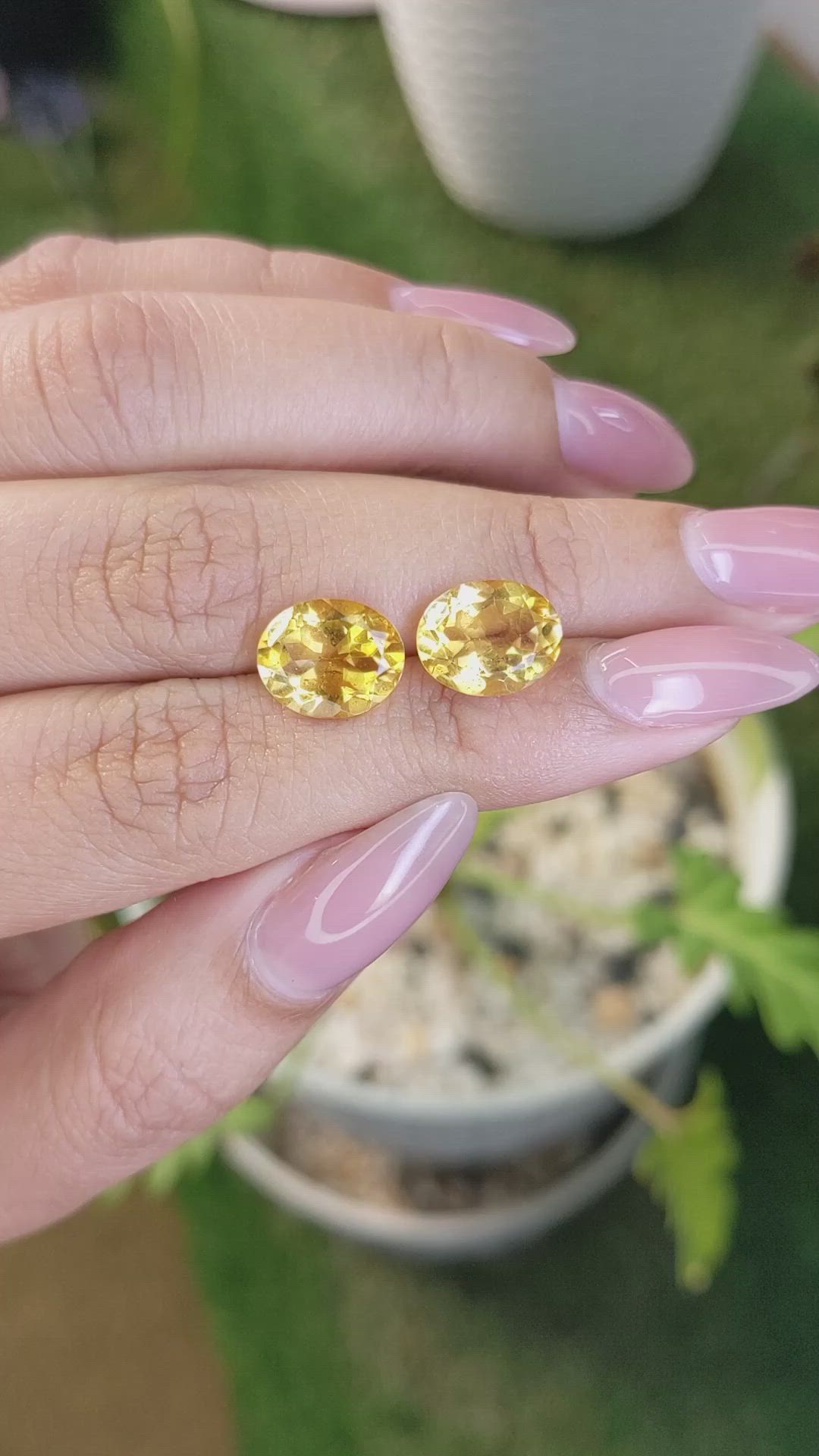 5.90&nbsp;Ct.Tw.Total Carat Weight Citrine Pair from Brazil Size Video