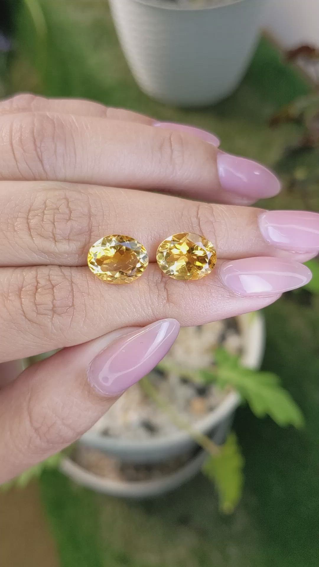 6.90&nbsp;Ct.Tw.Total Carat Weight Citrine Pair from Brazil Size Video