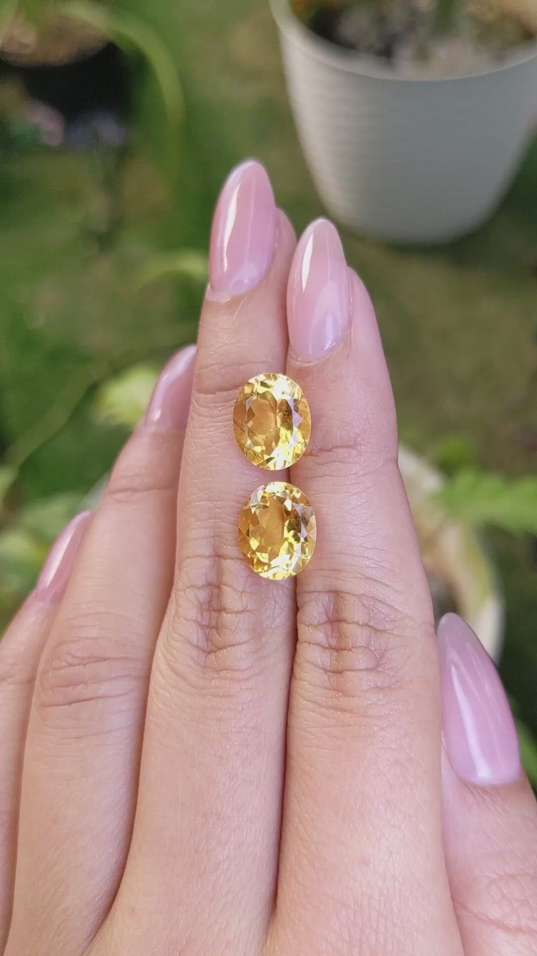 6.74&nbsp;Ct.Tw.Total Carat Weight Citrine Pair from Brazil Size Video