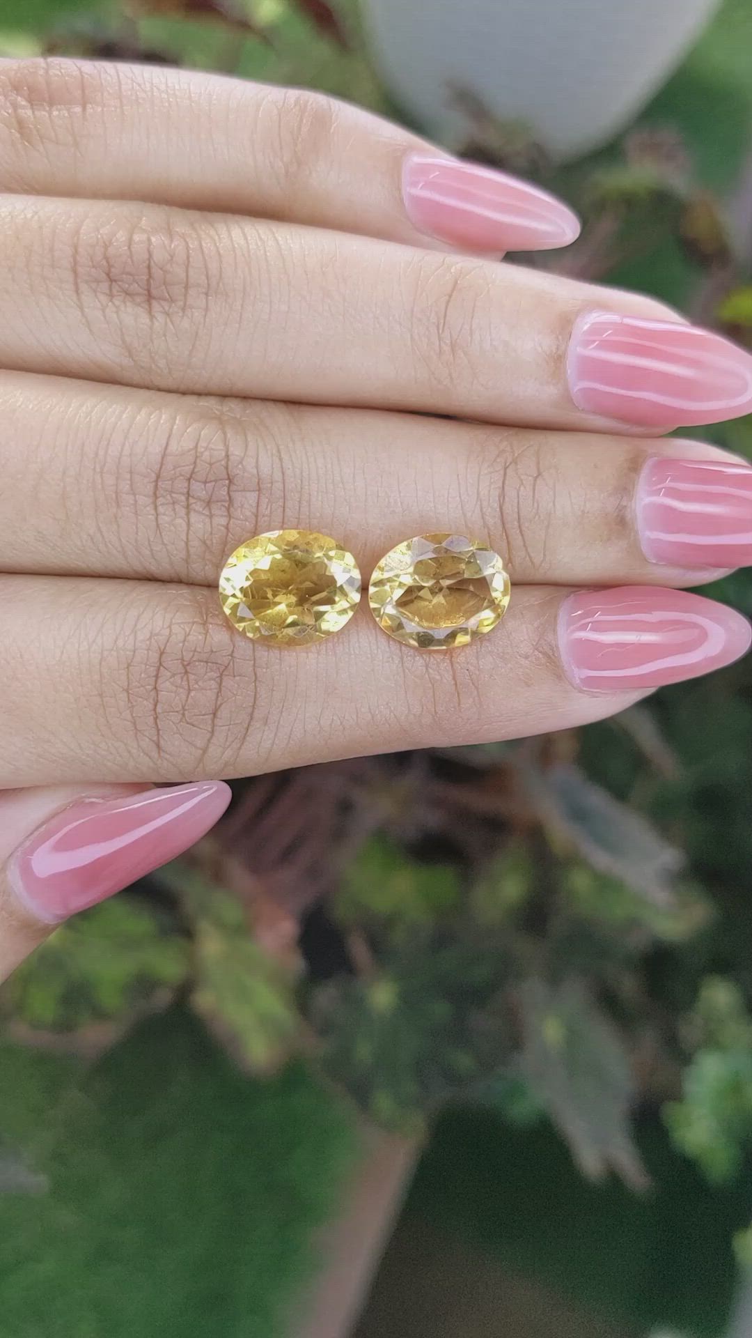 6.58&nbsp;Ct.Tw.Total Carat Weight Citrine Pair from Brazil Size Video