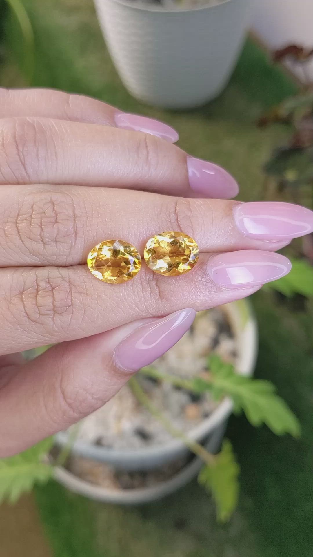 6.20&nbsp;Ct.Tw.Total Carat Weight Citrine Pair from Brazil Size Video